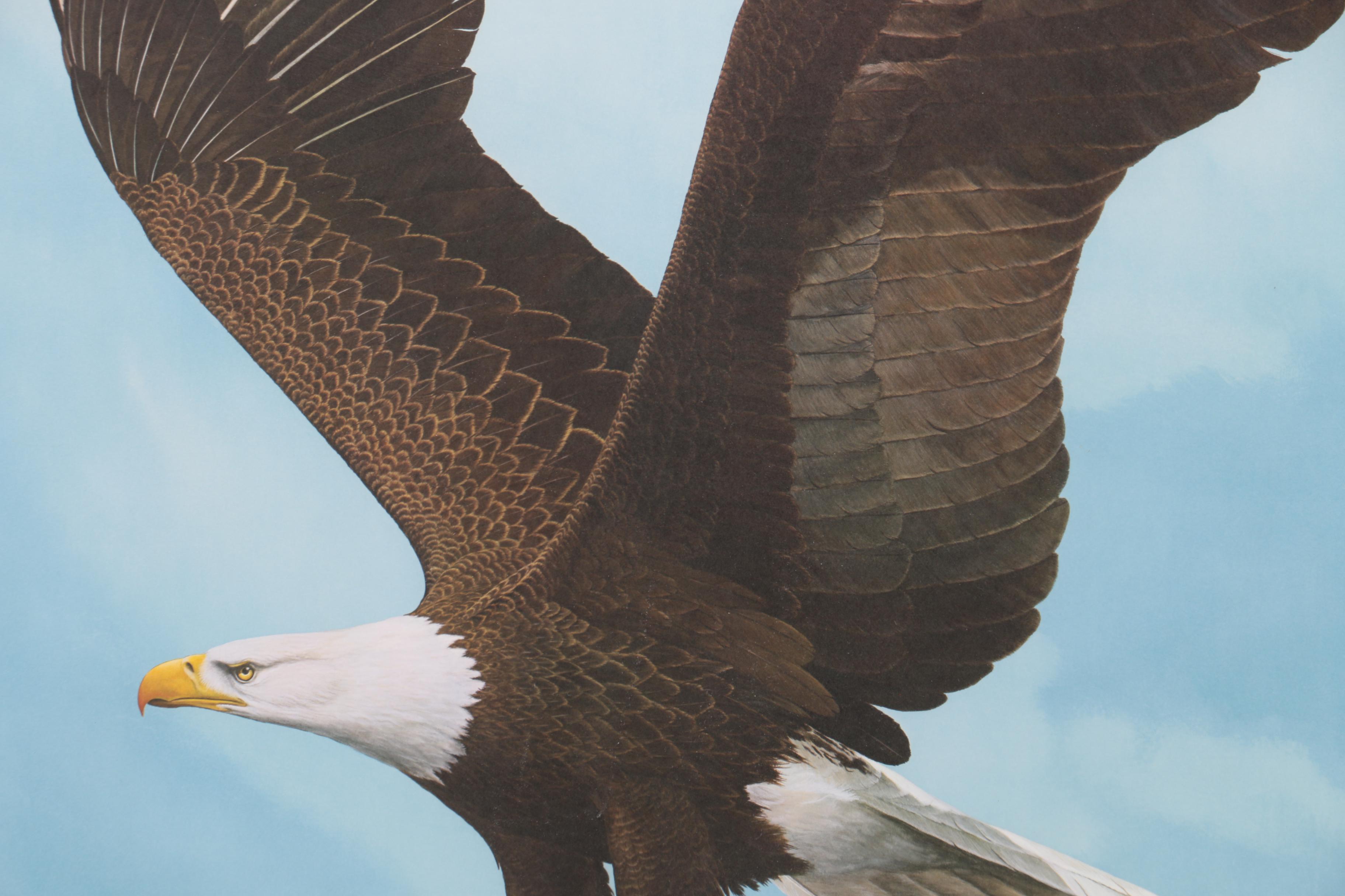 Ray Harm Reproduction Print on Paper "American Eagle"