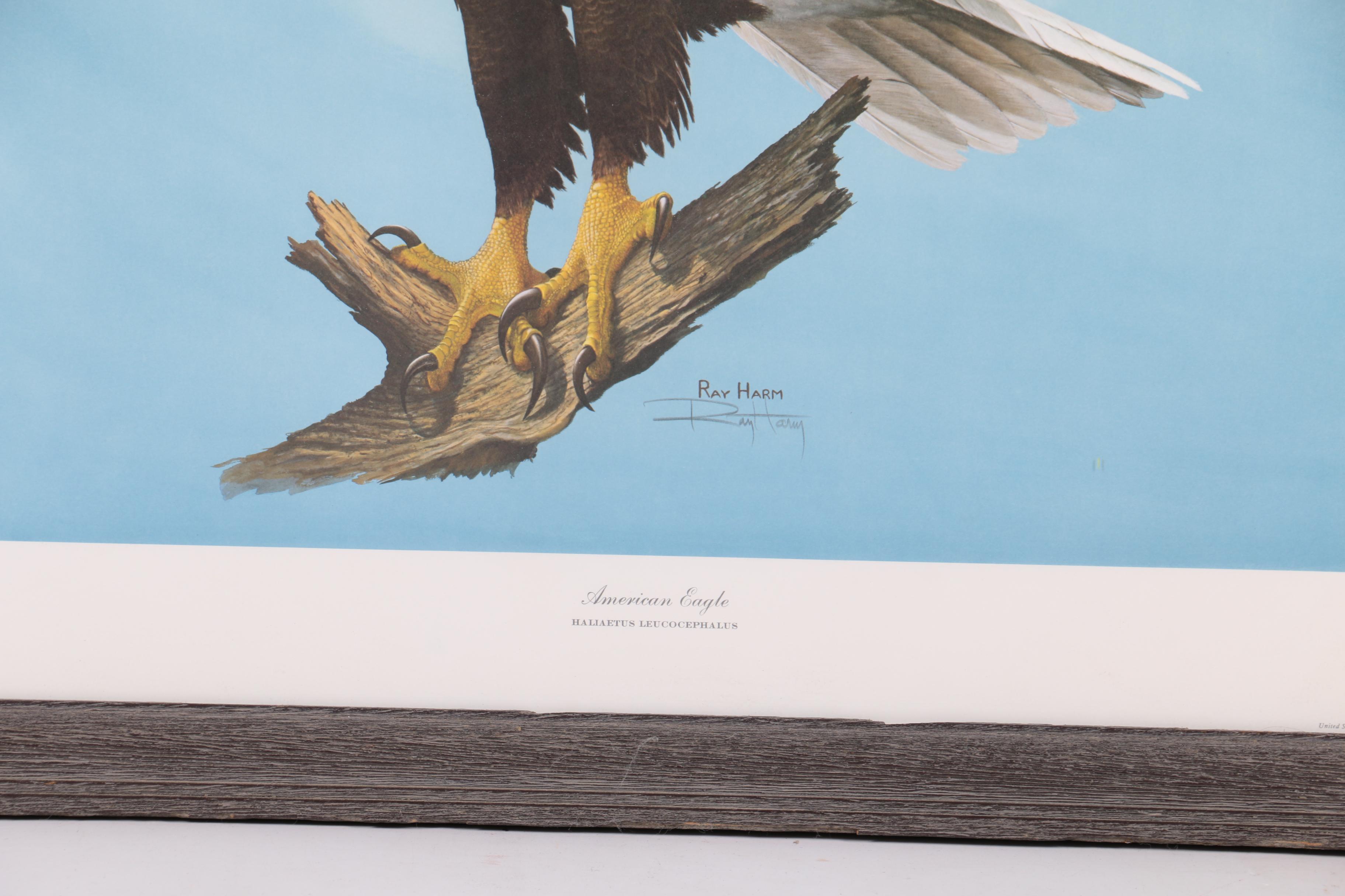 Ray Harm Reproduction Print on Paper "American Eagle"