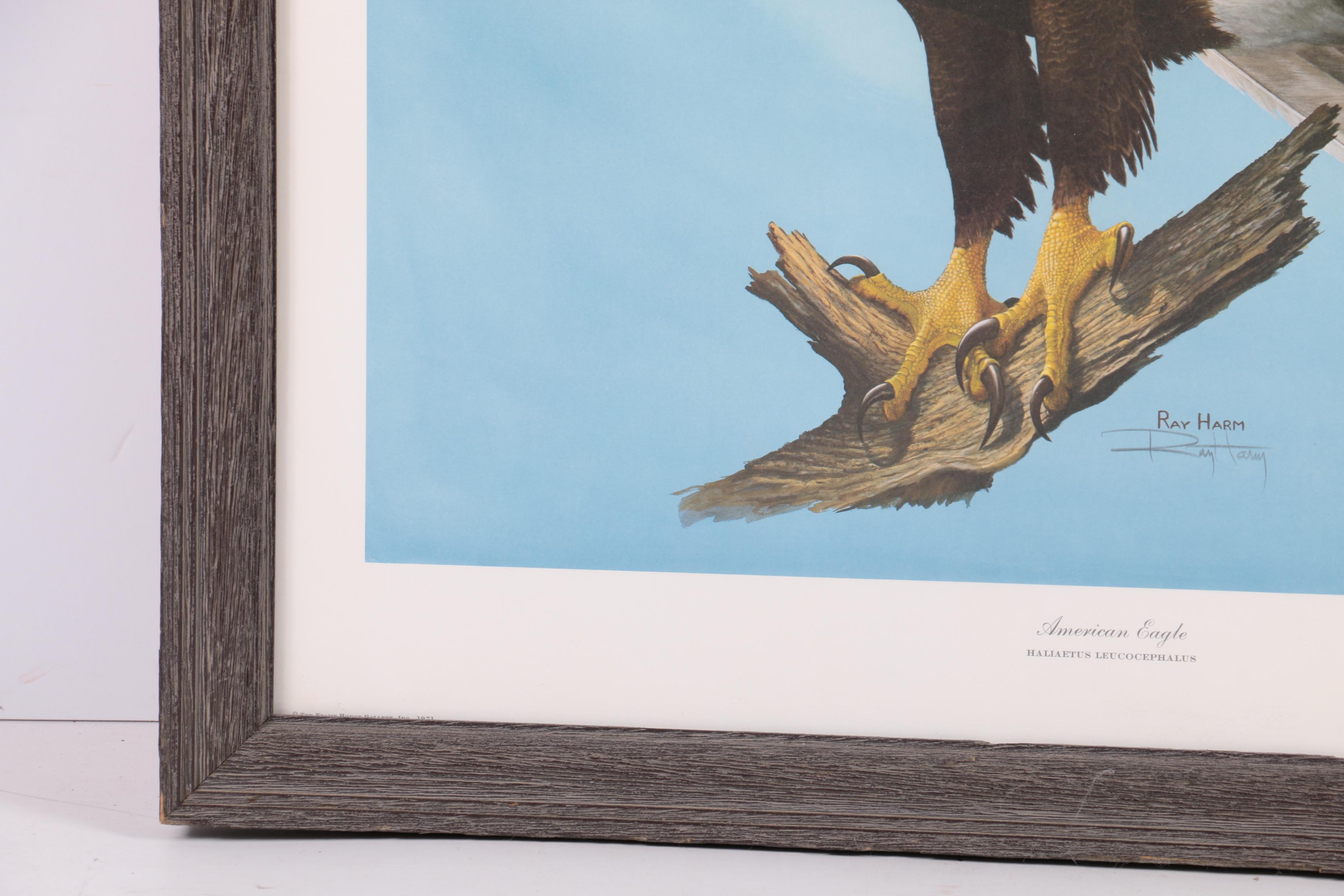 Ray Harm Reproduction Print on Paper "American Eagle"