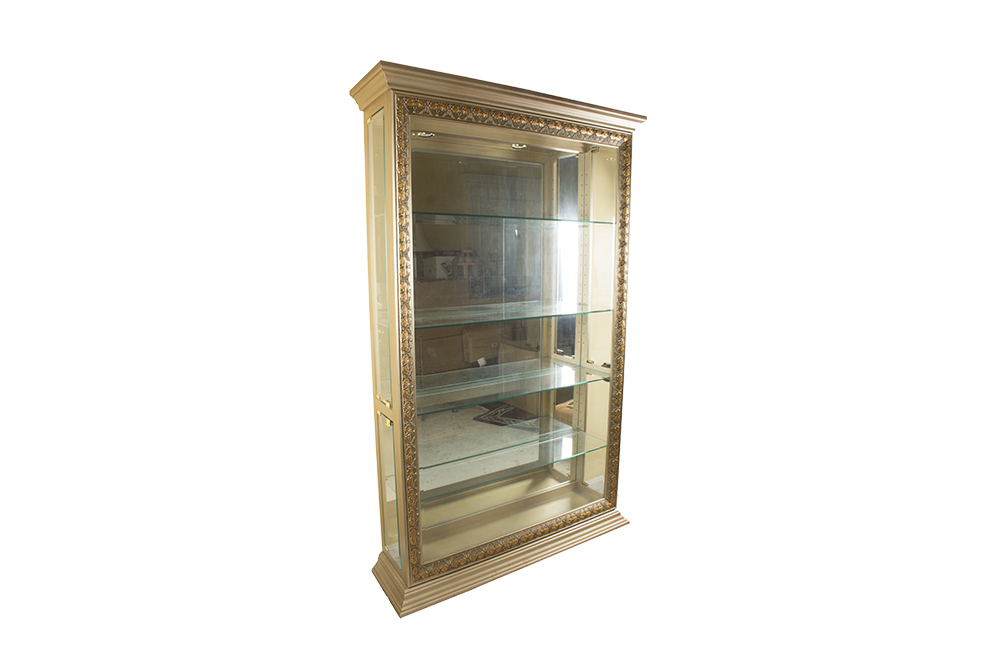 Contemporary Lighted Curio Cabinet