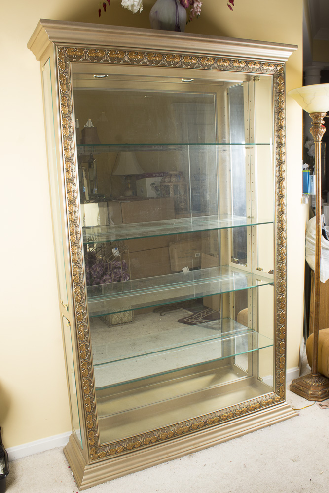 Contemporary Lighted Curio Cabinet
