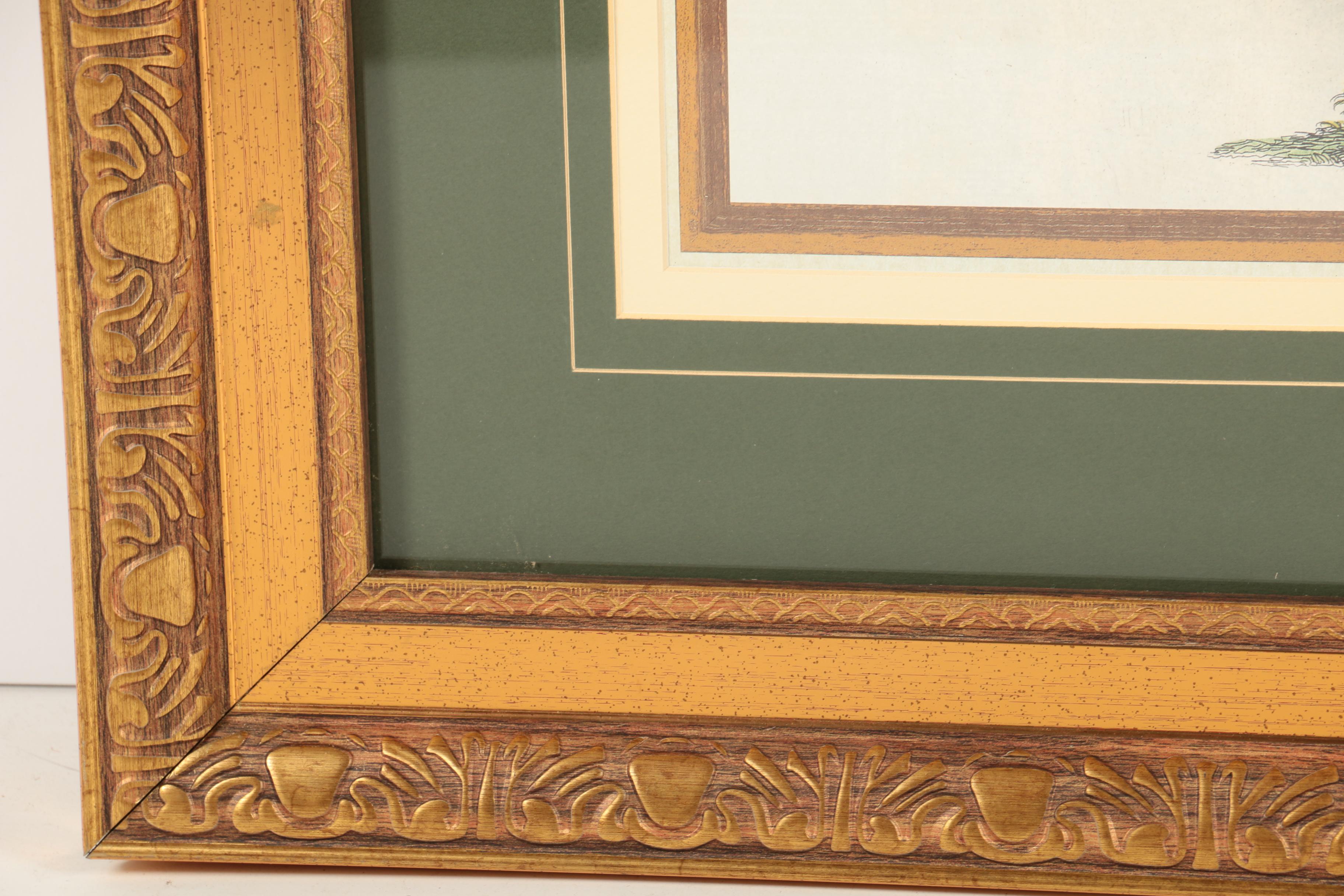 Reproduction Print on Paper After Georg Dionysius Ehret "Coconut Palm"