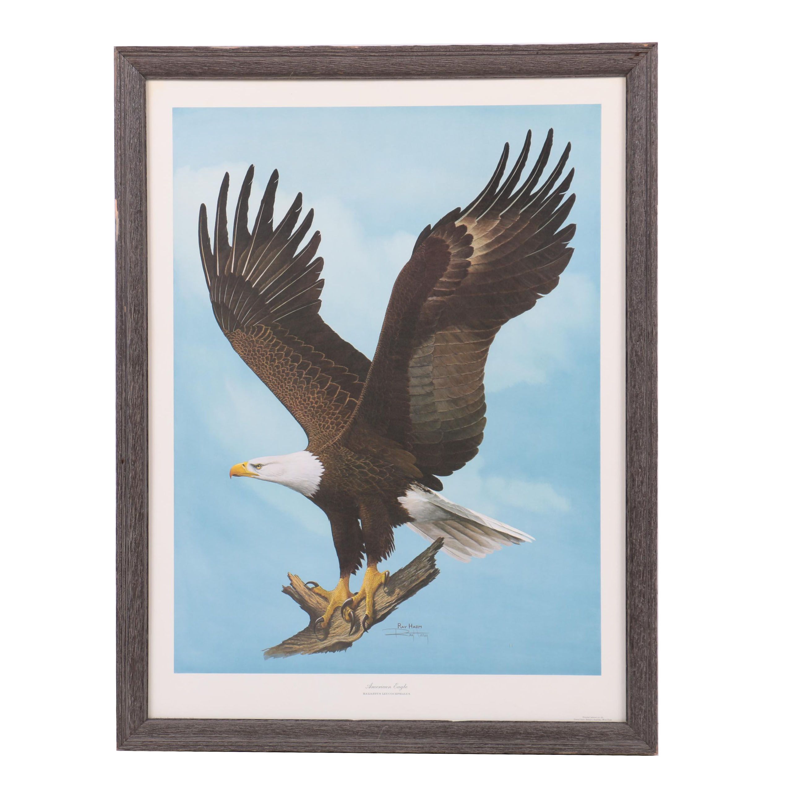 Ray Harm Reproduction Print on Paper "American Eagle"