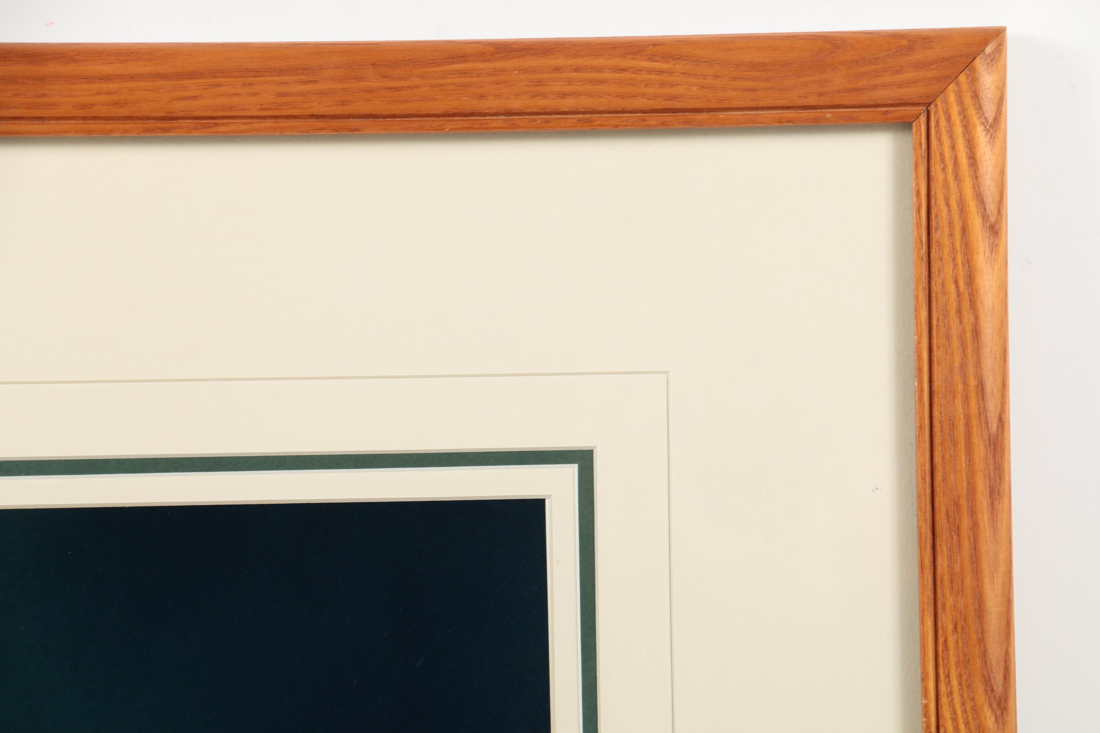 Thomas D. Mangelsen Limited Edition Color Photograph of a Bald Eagle