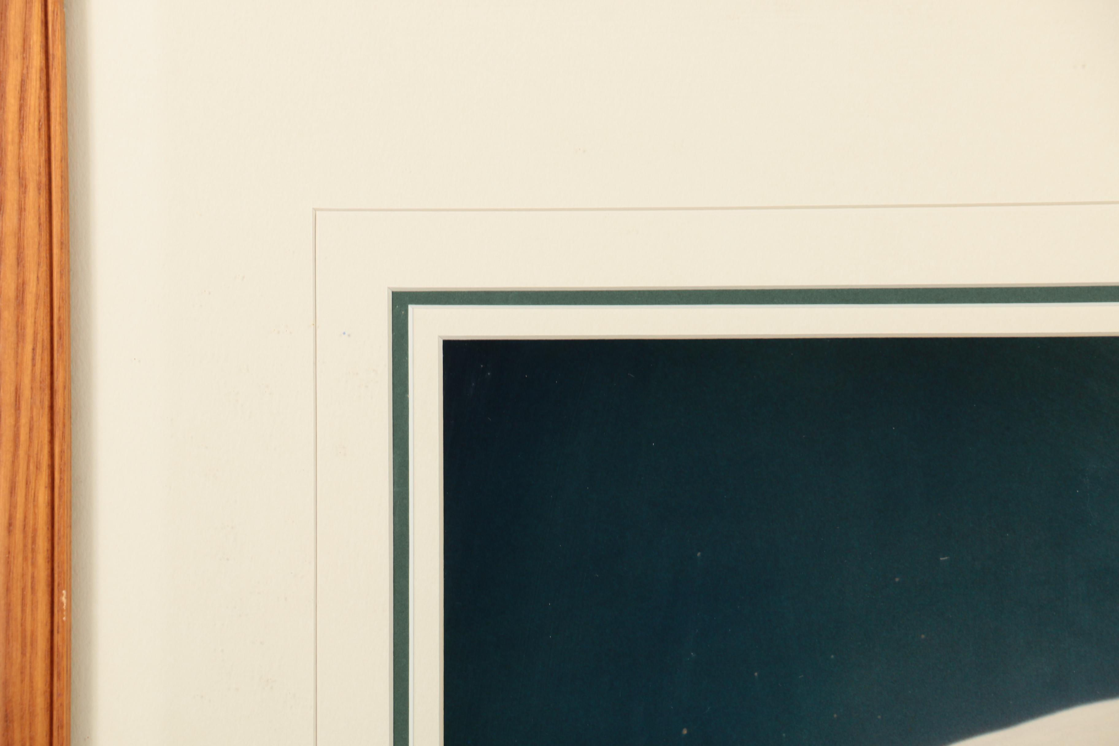 Thomas D. Mangelsen Limited Edition Color Photograph of a Bald Eagle