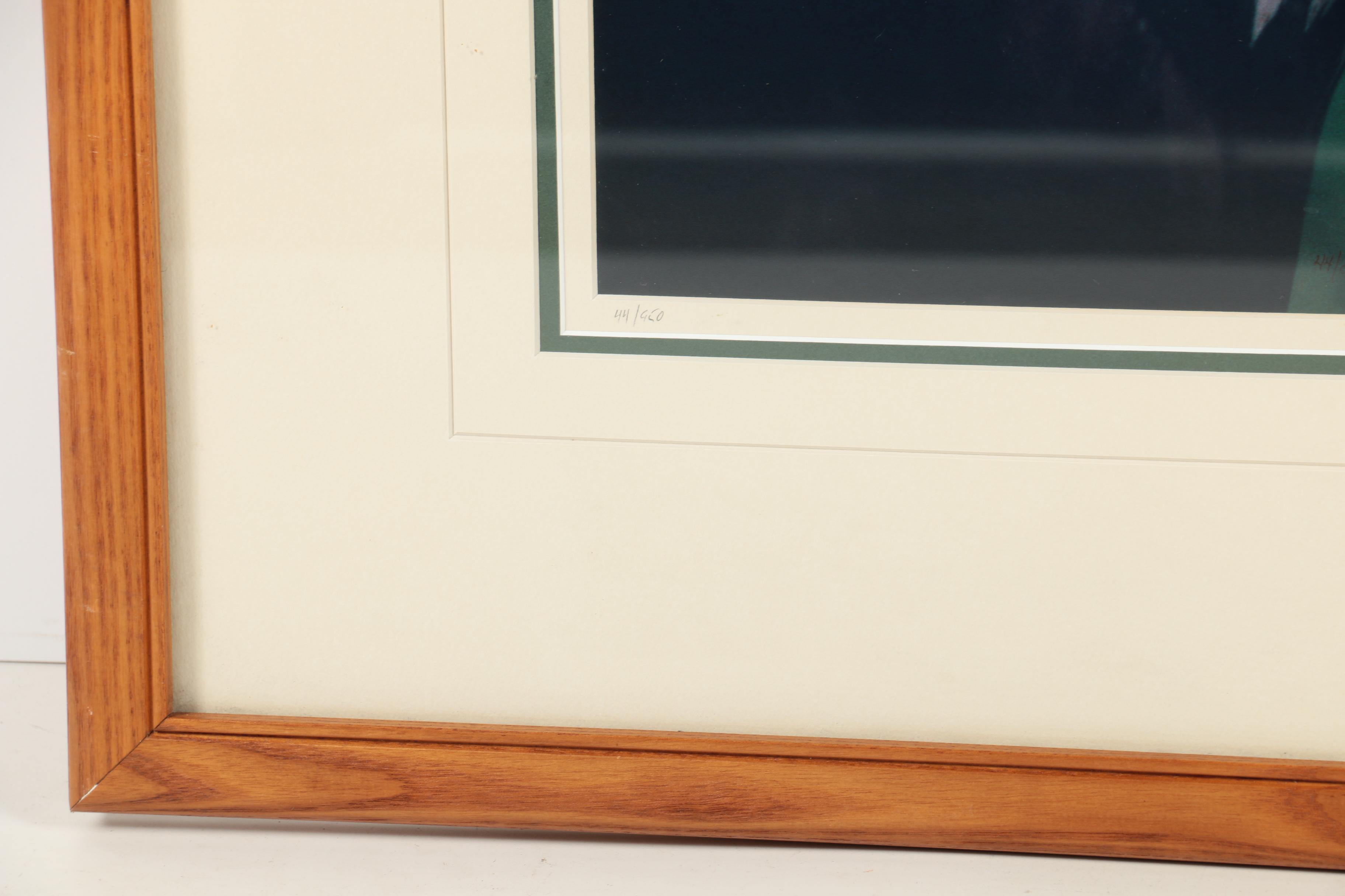 Thomas D. Mangelsen Limited Edition Color Photograph of a Bald Eagle