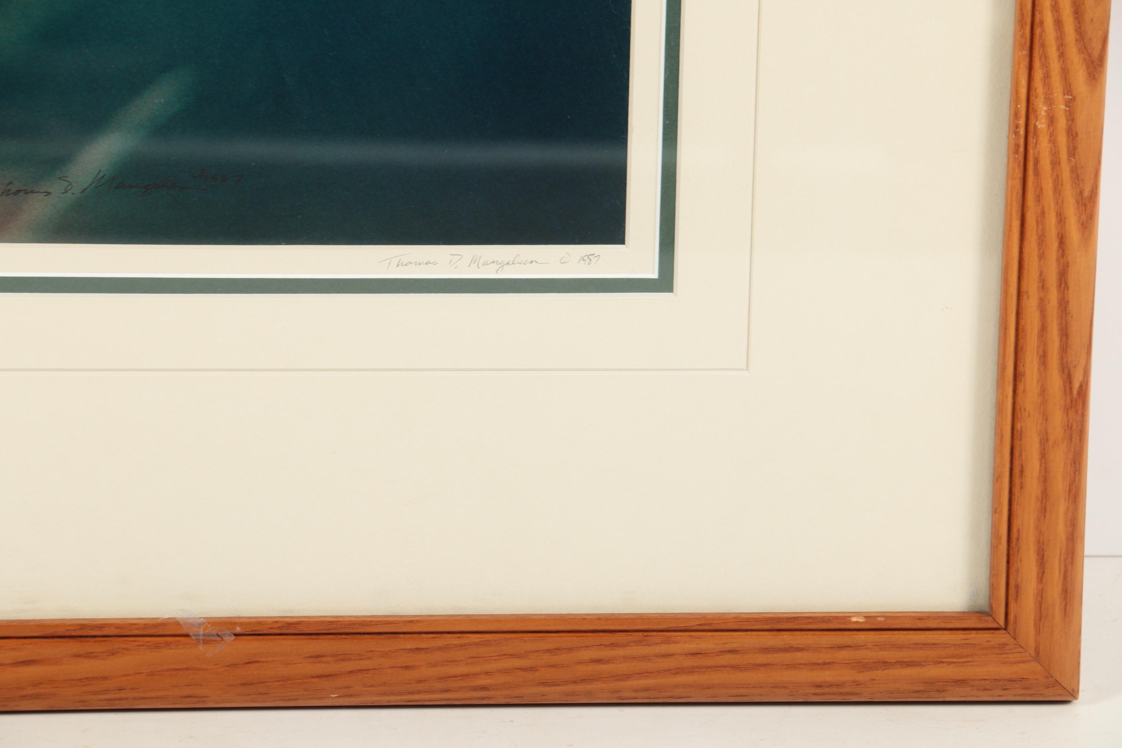 Thomas D. Mangelsen Limited Edition Color Photograph of a Bald Eagle