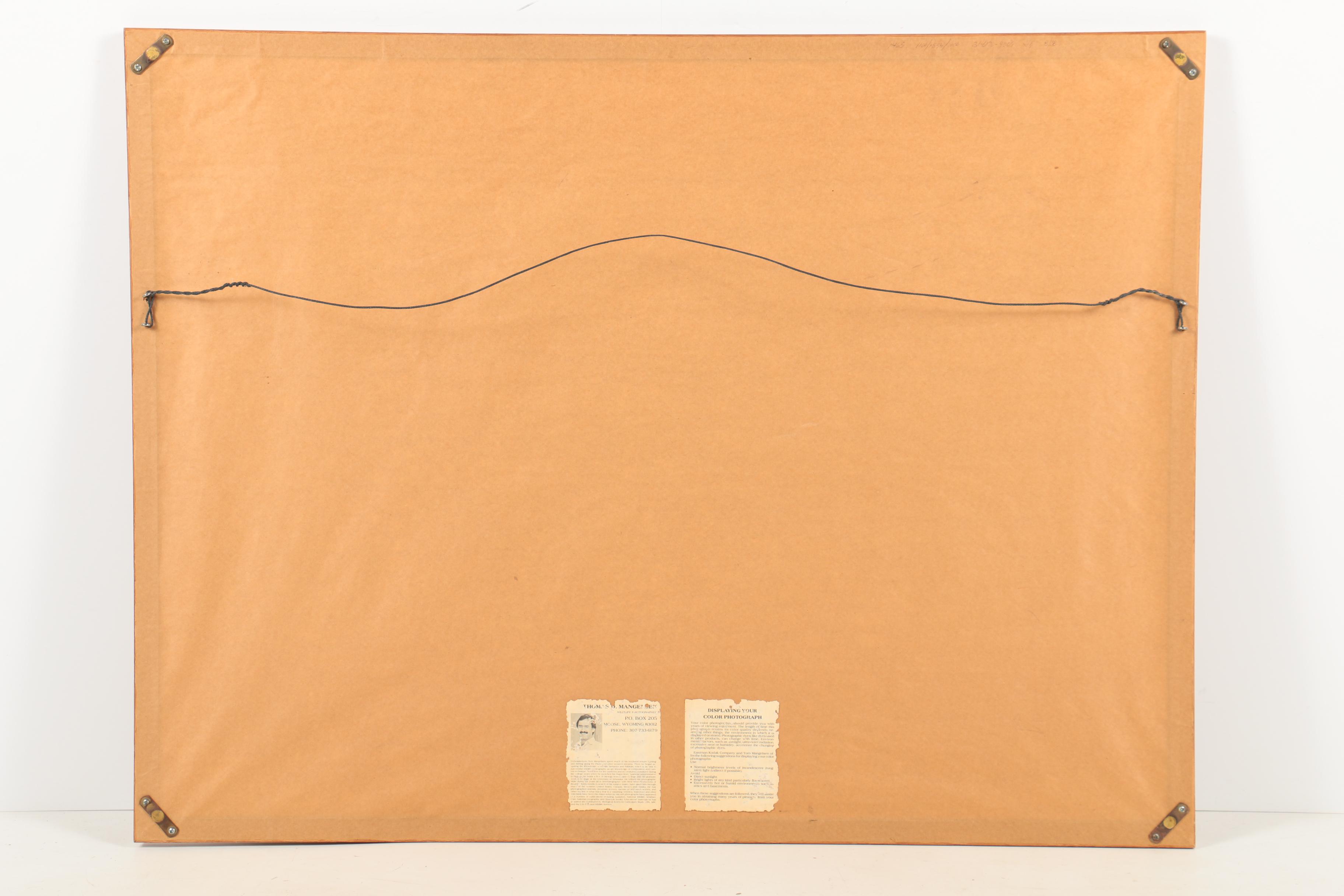 Thomas D. Mangelsen Limited Edition Color Photograph of a Bald Eagle