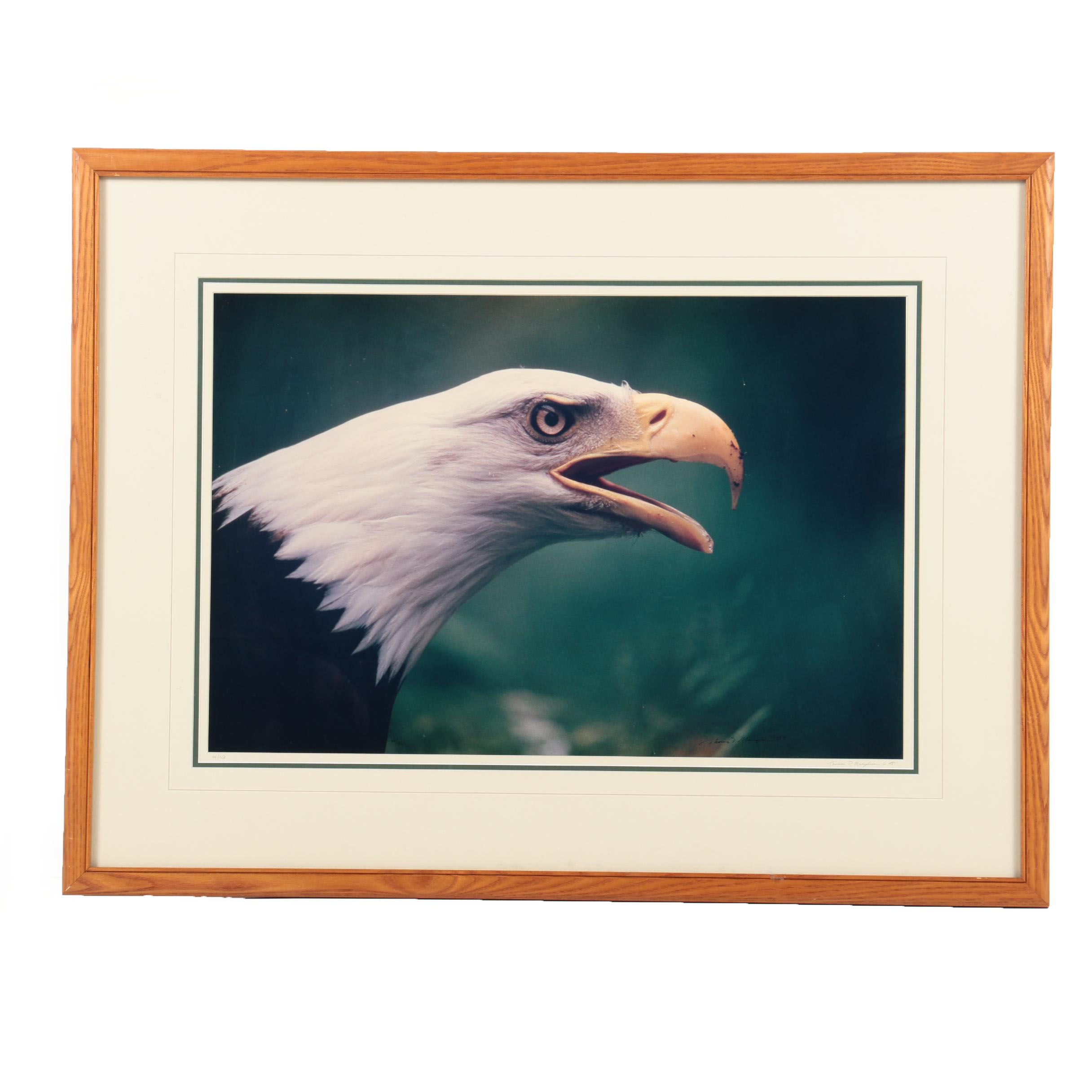 Thomas D. Mangelsen Limited Edition Color Photograph of a Bald Eagle