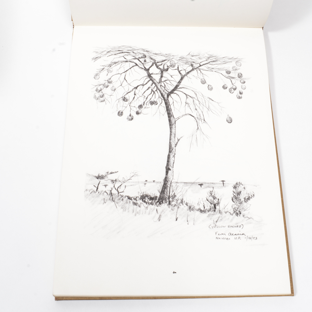 1973 "Ray Harm's African Sketchbook"