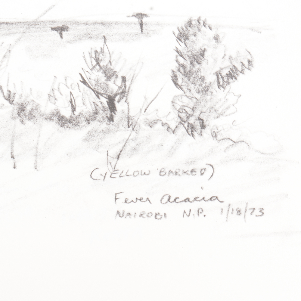 1973 "Ray Harm's African Sketchbook"