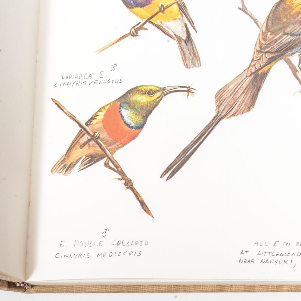 1973 "Ray Harm's African Sketchbook"