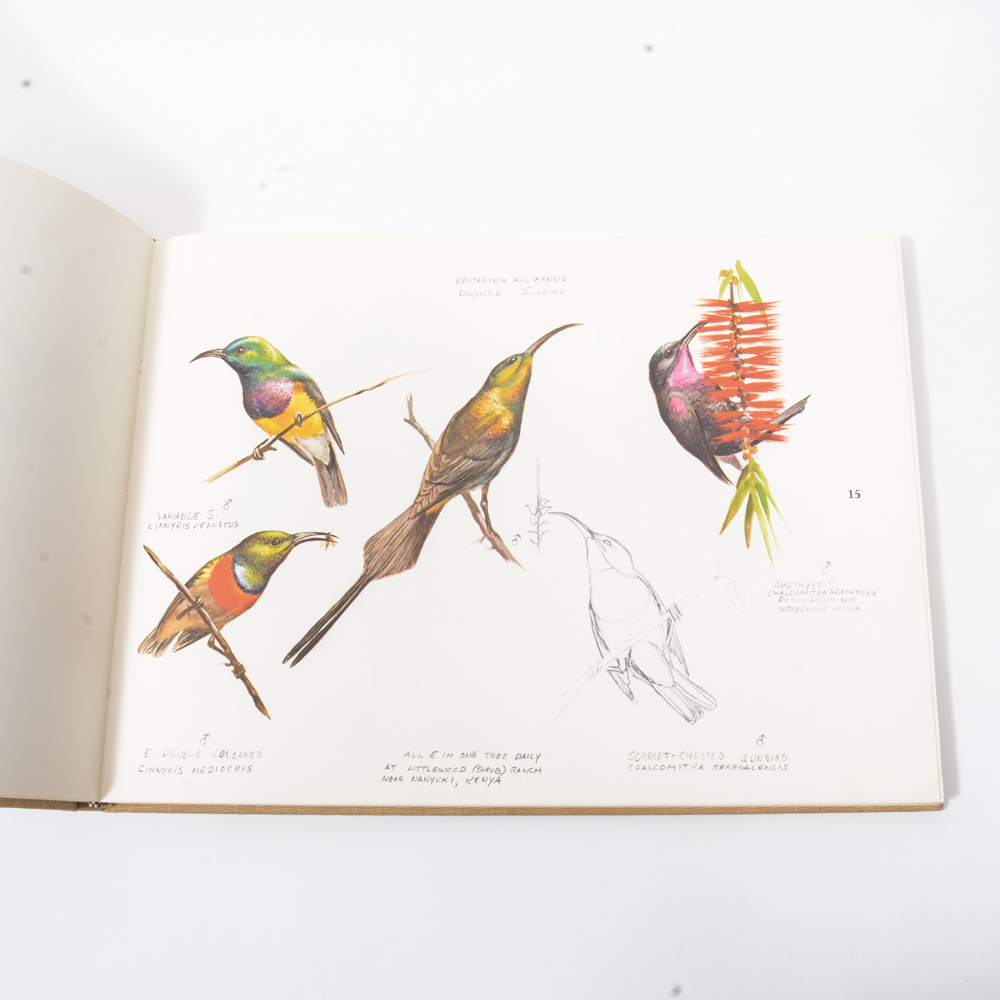 1973 "Ray Harm's African Sketchbook"