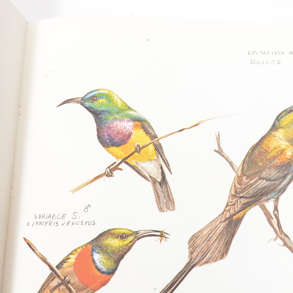 1973 "Ray Harm's African Sketchbook"