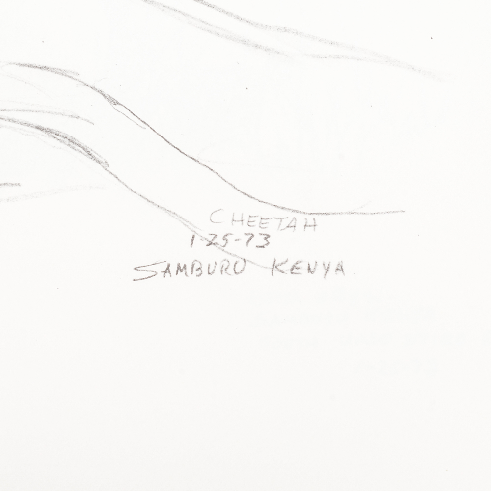 1973 "Ray Harm's African Sketchbook"