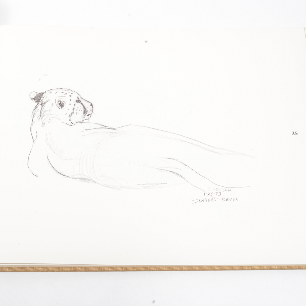 1973 "Ray Harm's African Sketchbook"