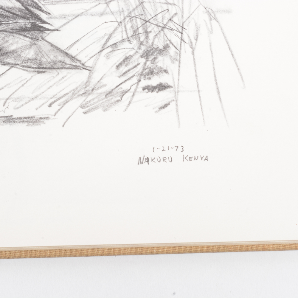 1973 "Ray Harm's African Sketchbook"