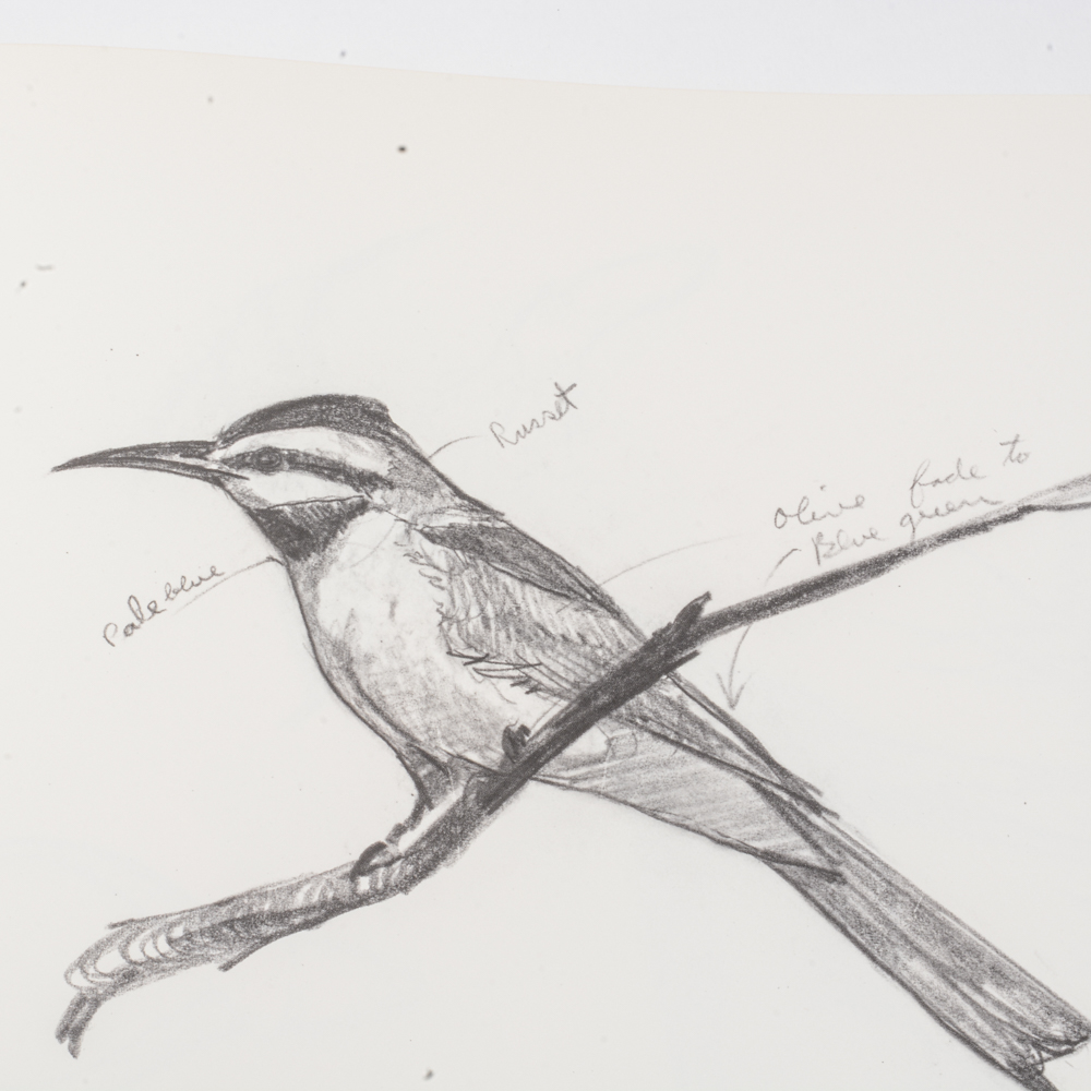 1973 "Ray Harm's African Sketchbook"