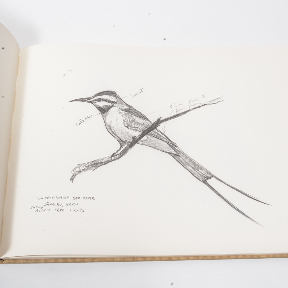 1973 "Ray Harm's African Sketchbook"