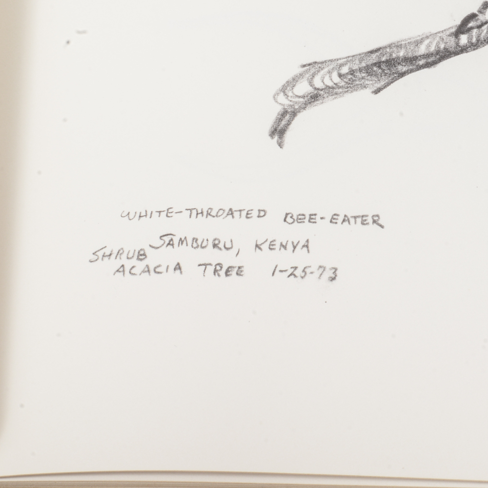 1973 "Ray Harm's African Sketchbook"