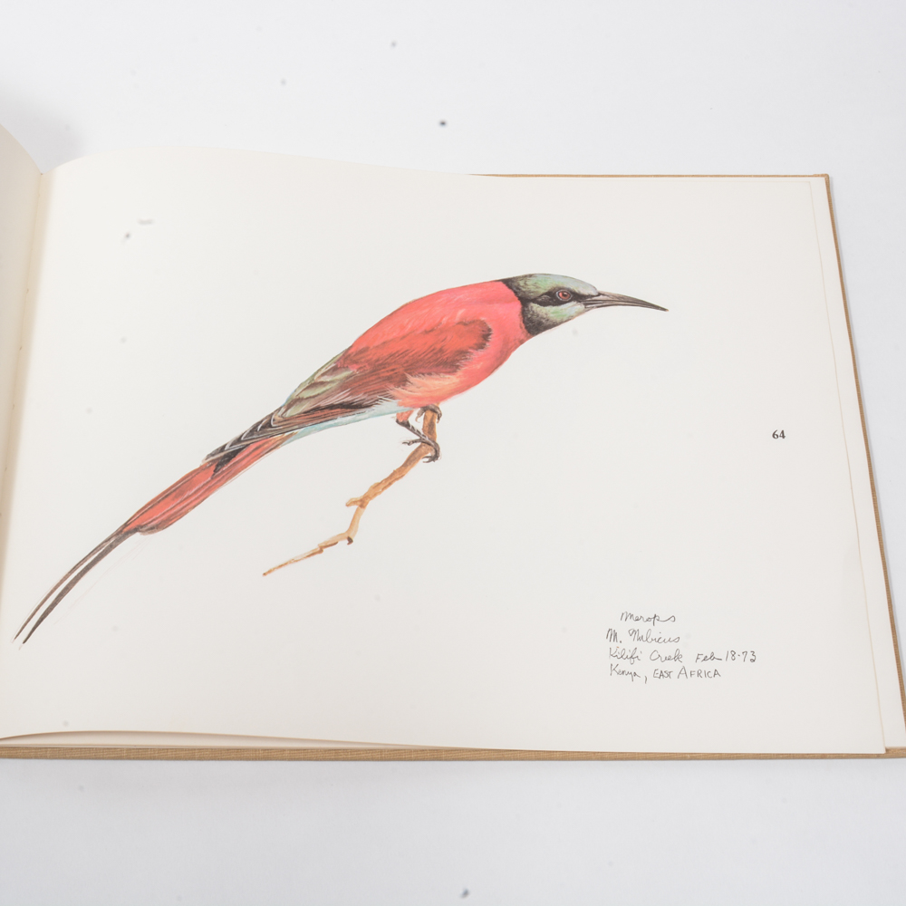 1973 "Ray Harm's African Sketchbook"