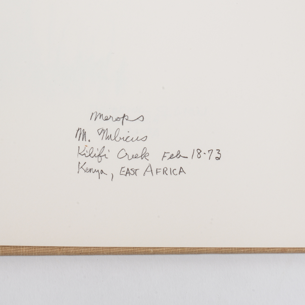 1973 "Ray Harm's African Sketchbook"