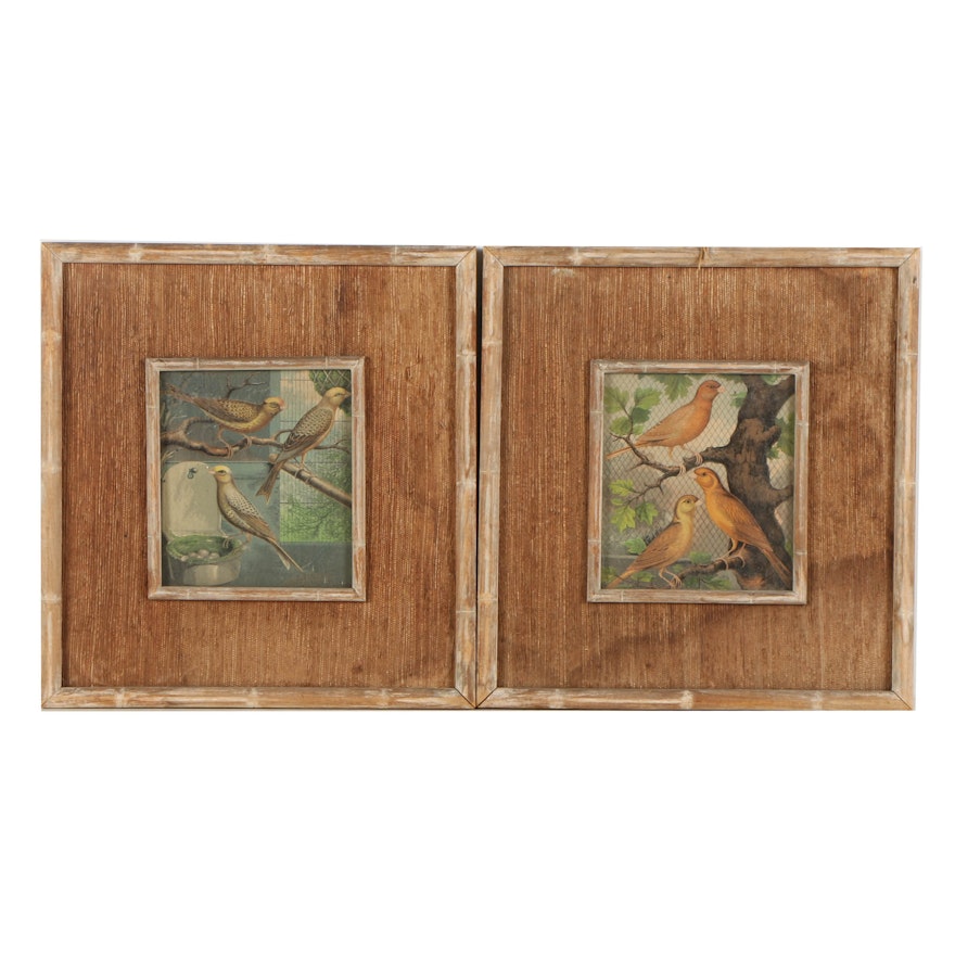 Pair of Chromolithographs on Paper of Birds