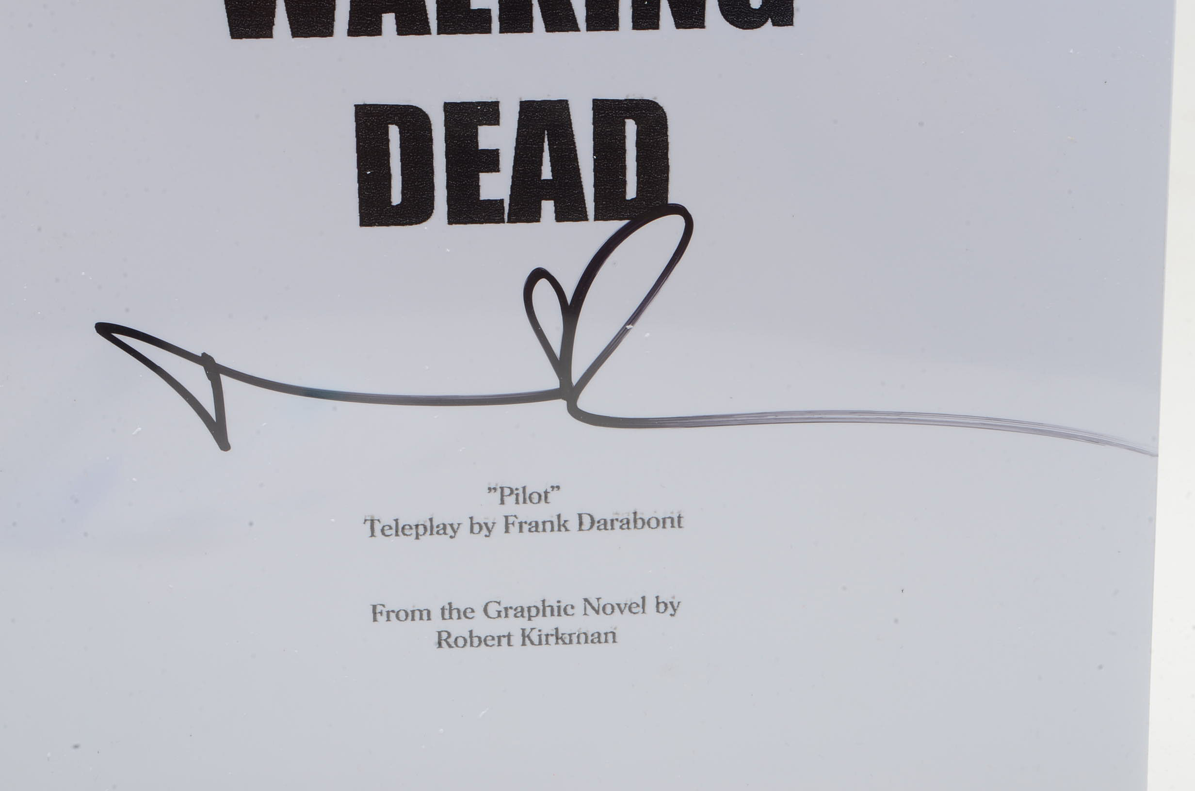 Norman Reedus Signed "Walking Dead" Pilot Script with COA