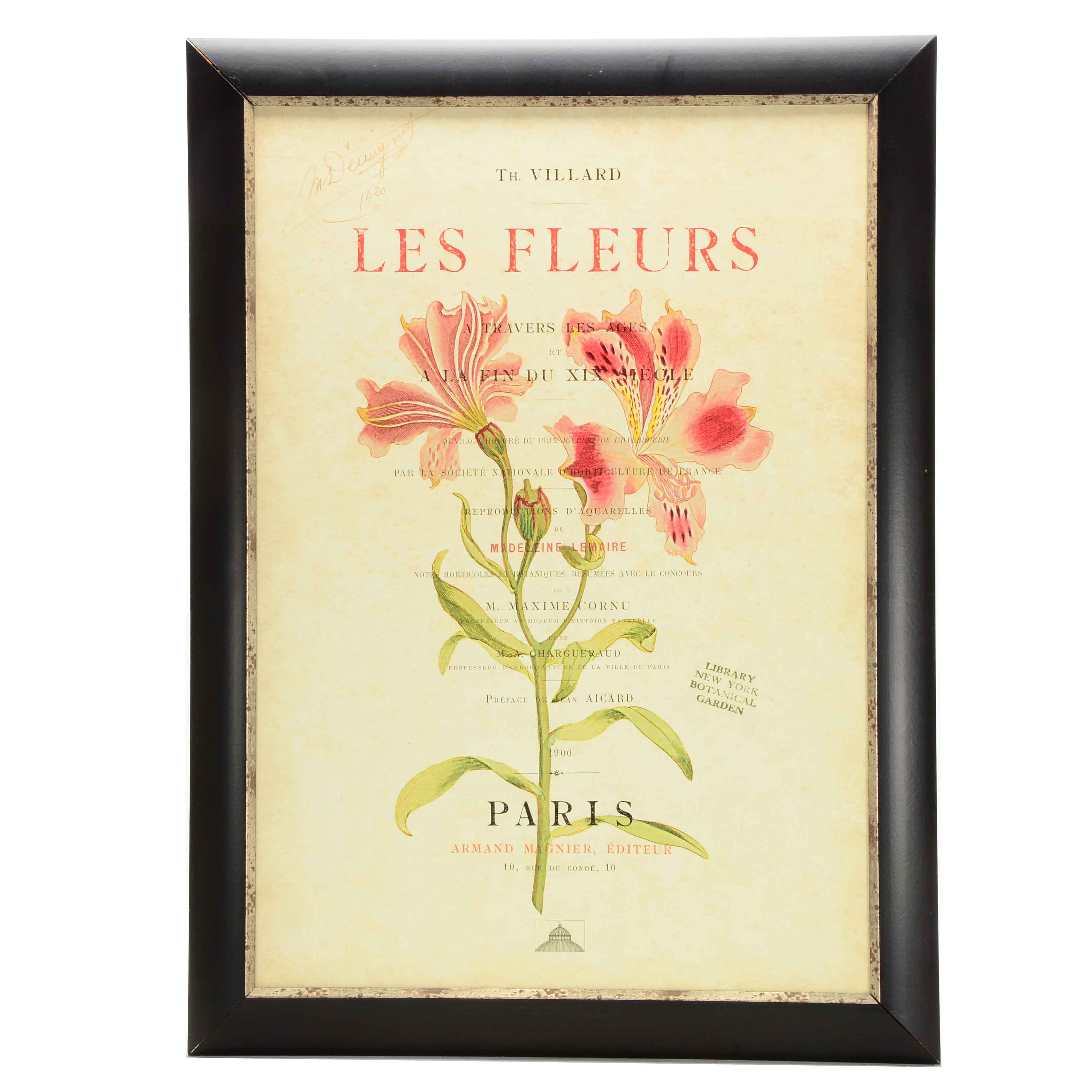 Offset Lithograph on Paperboard of Botanical Illustration