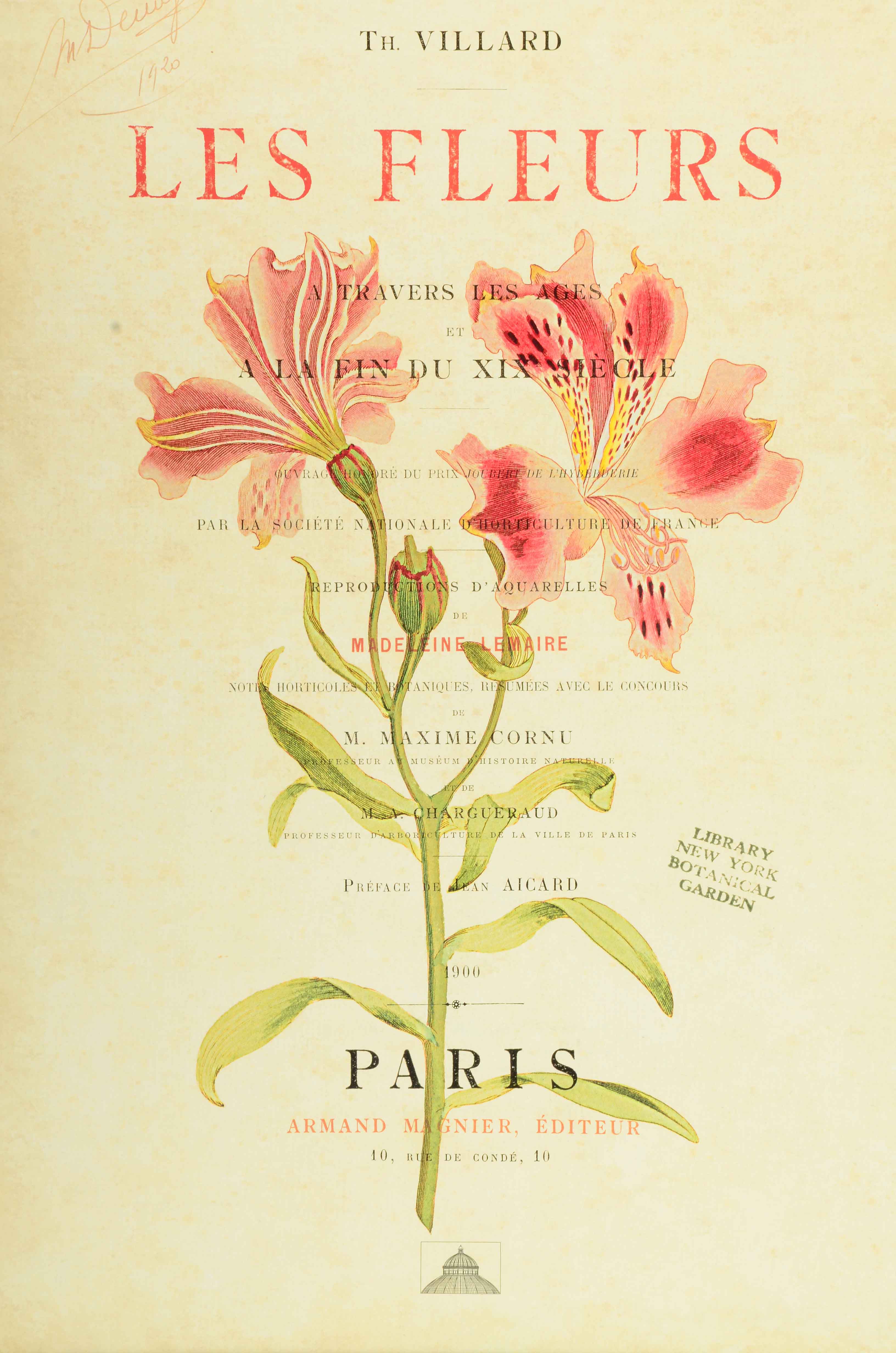 Offset Lithograph on Paperboard of Botanical Illustration