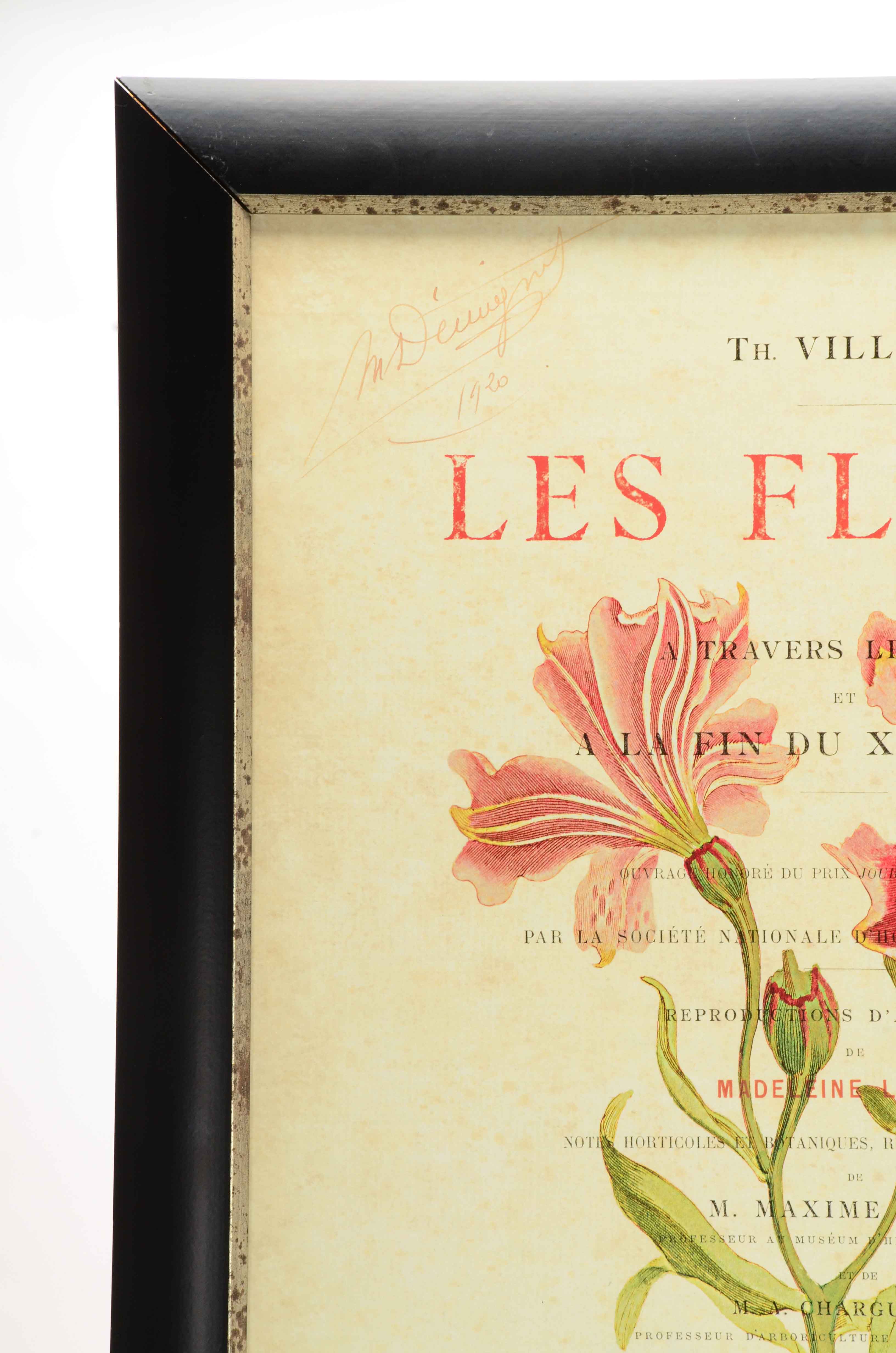 Offset Lithograph on Paperboard of Botanical Illustration