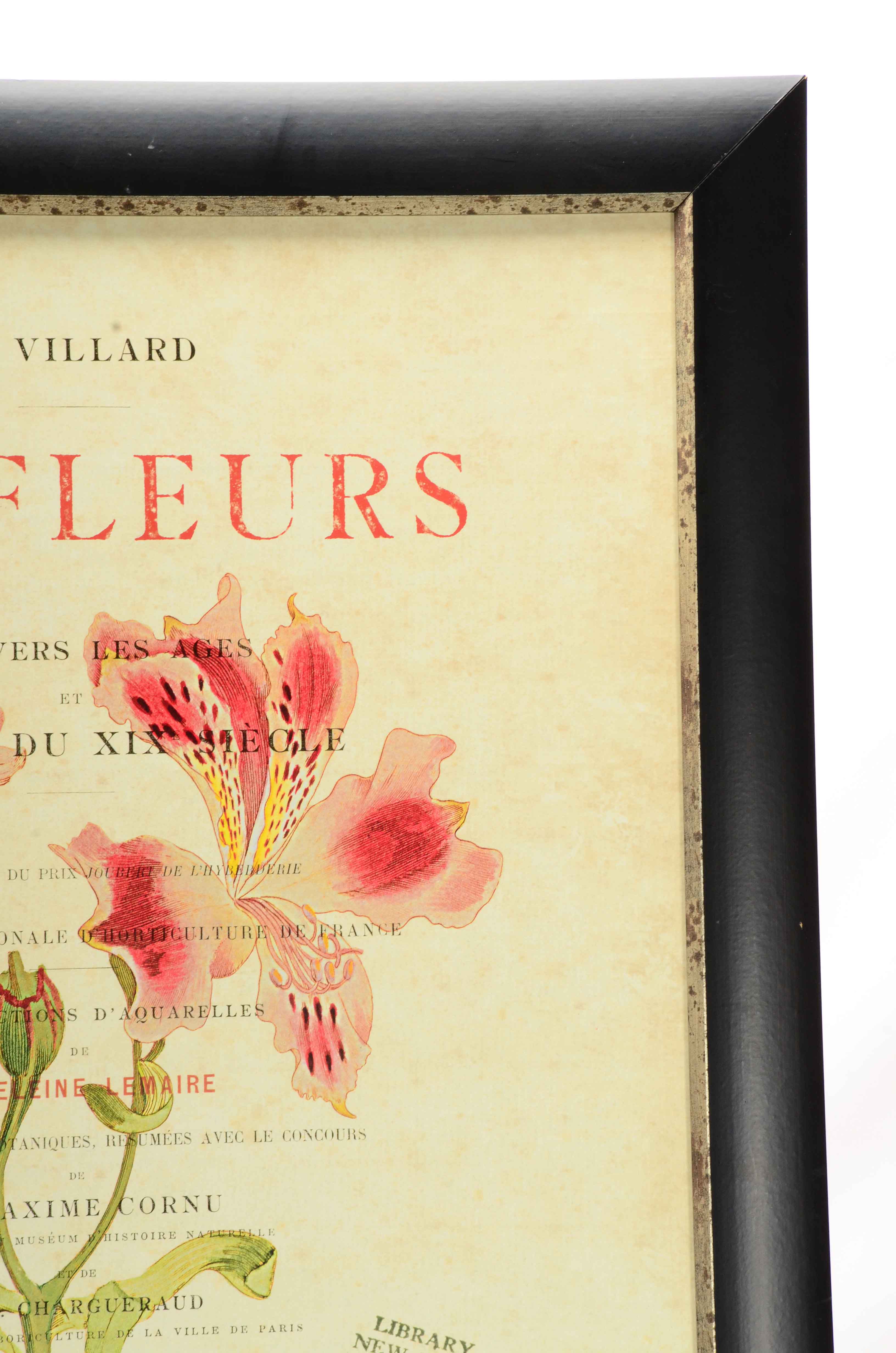 Offset Lithograph on Paperboard of Botanical Illustration