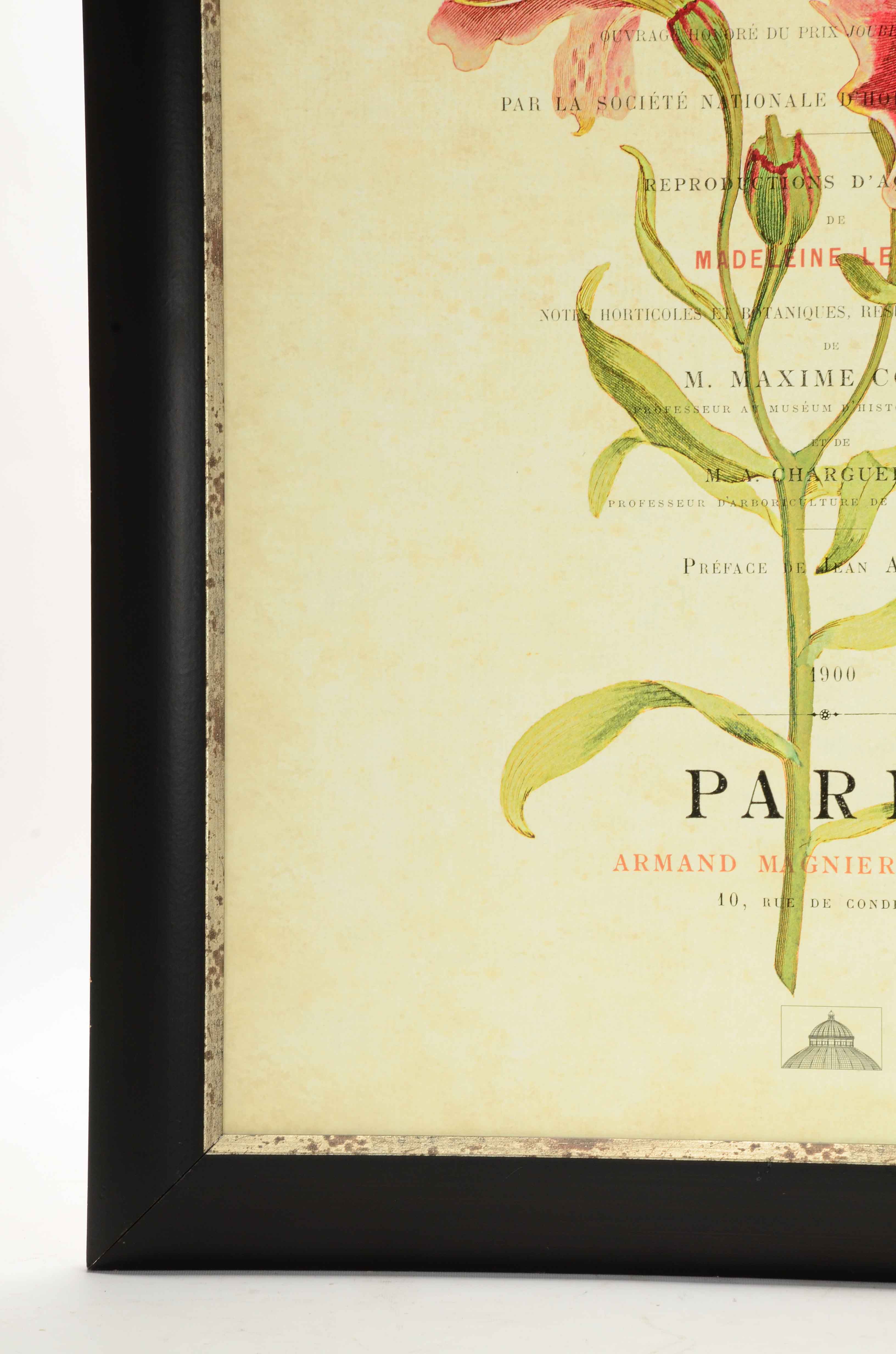 Offset Lithograph on Paperboard of Botanical Illustration