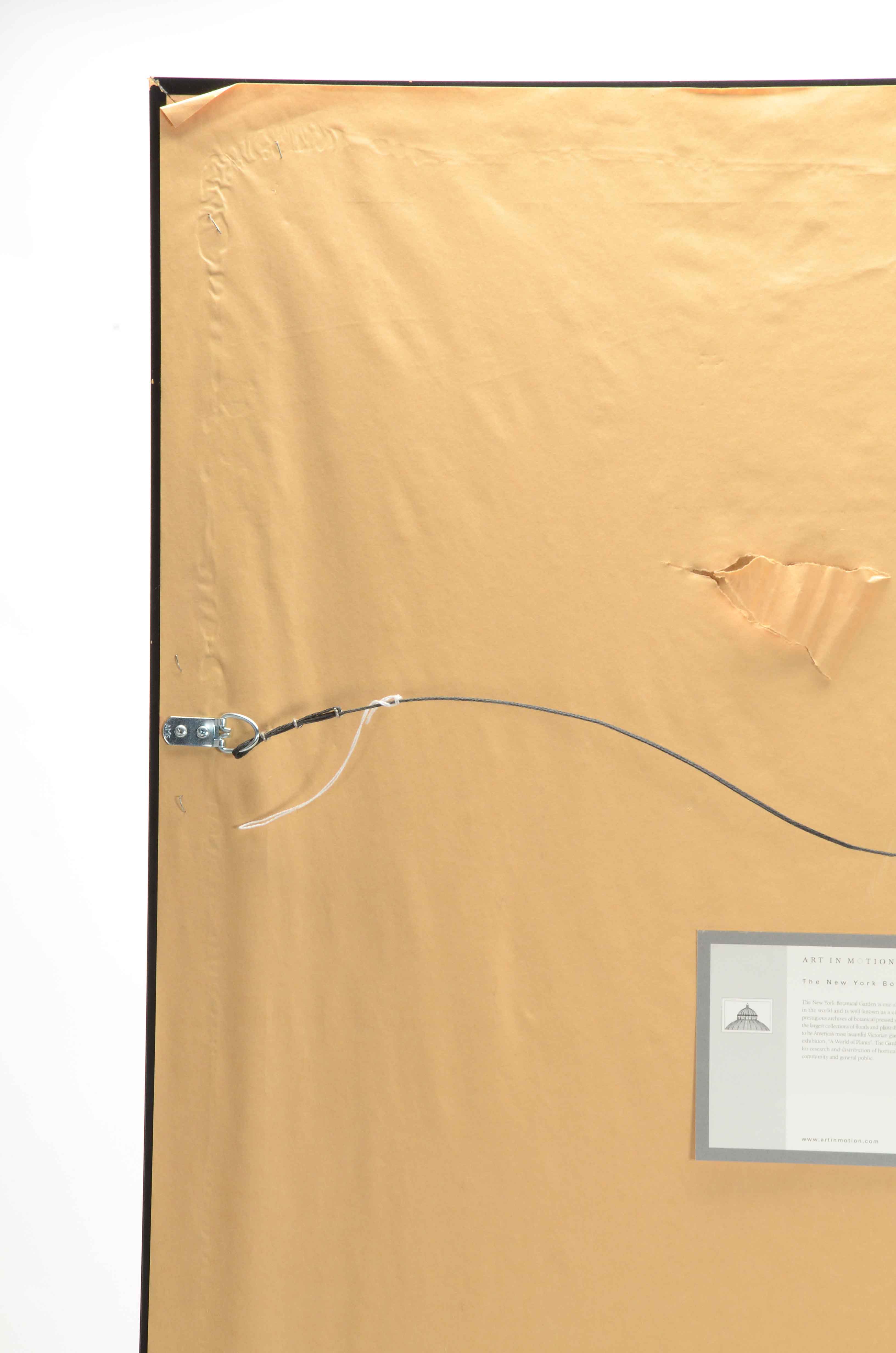 Offset Lithograph on Paperboard of Botanical Illustration