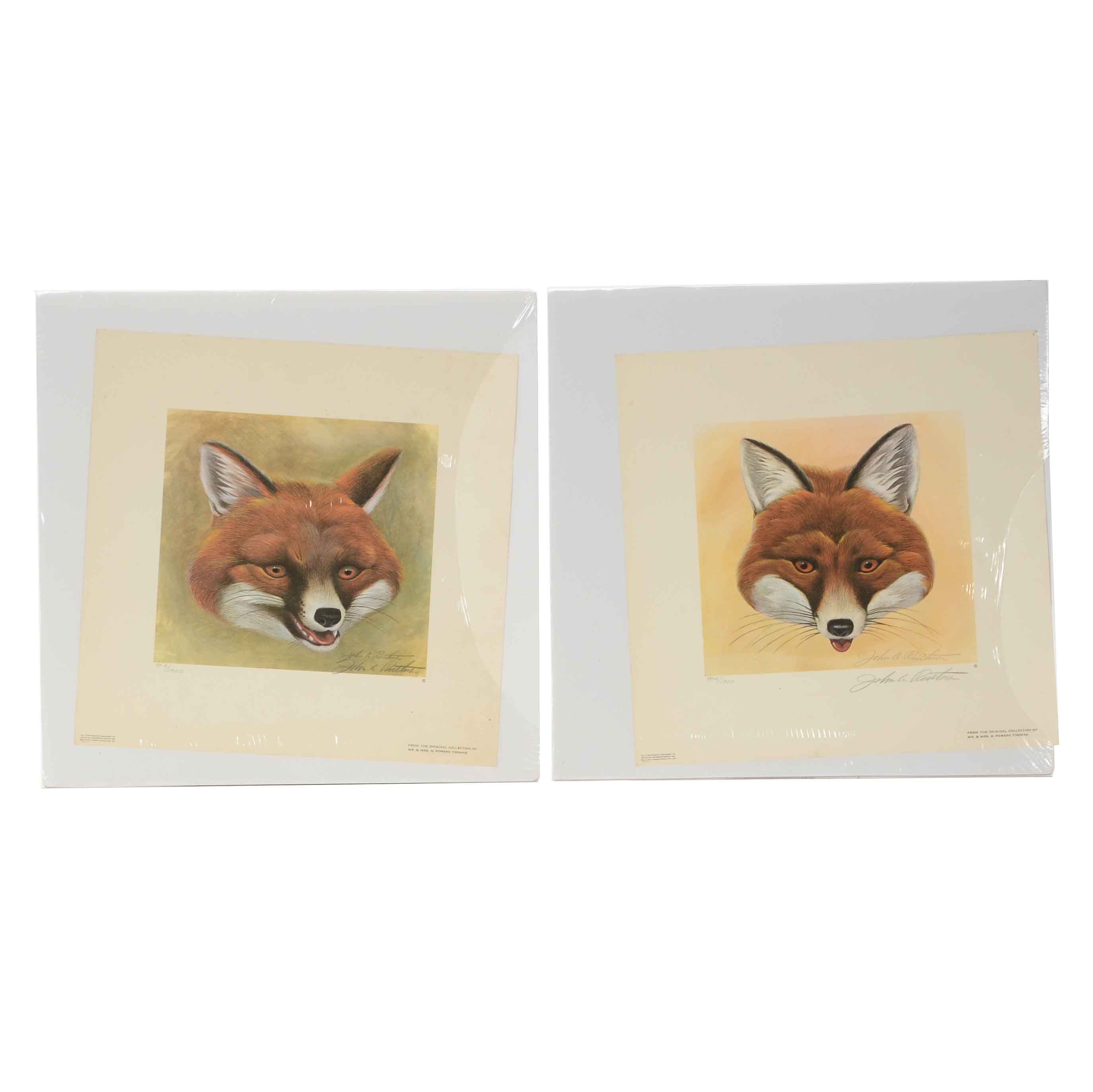 Two John Ruthven Signed Limited Edition Offset Lithograph Prints of Foxes