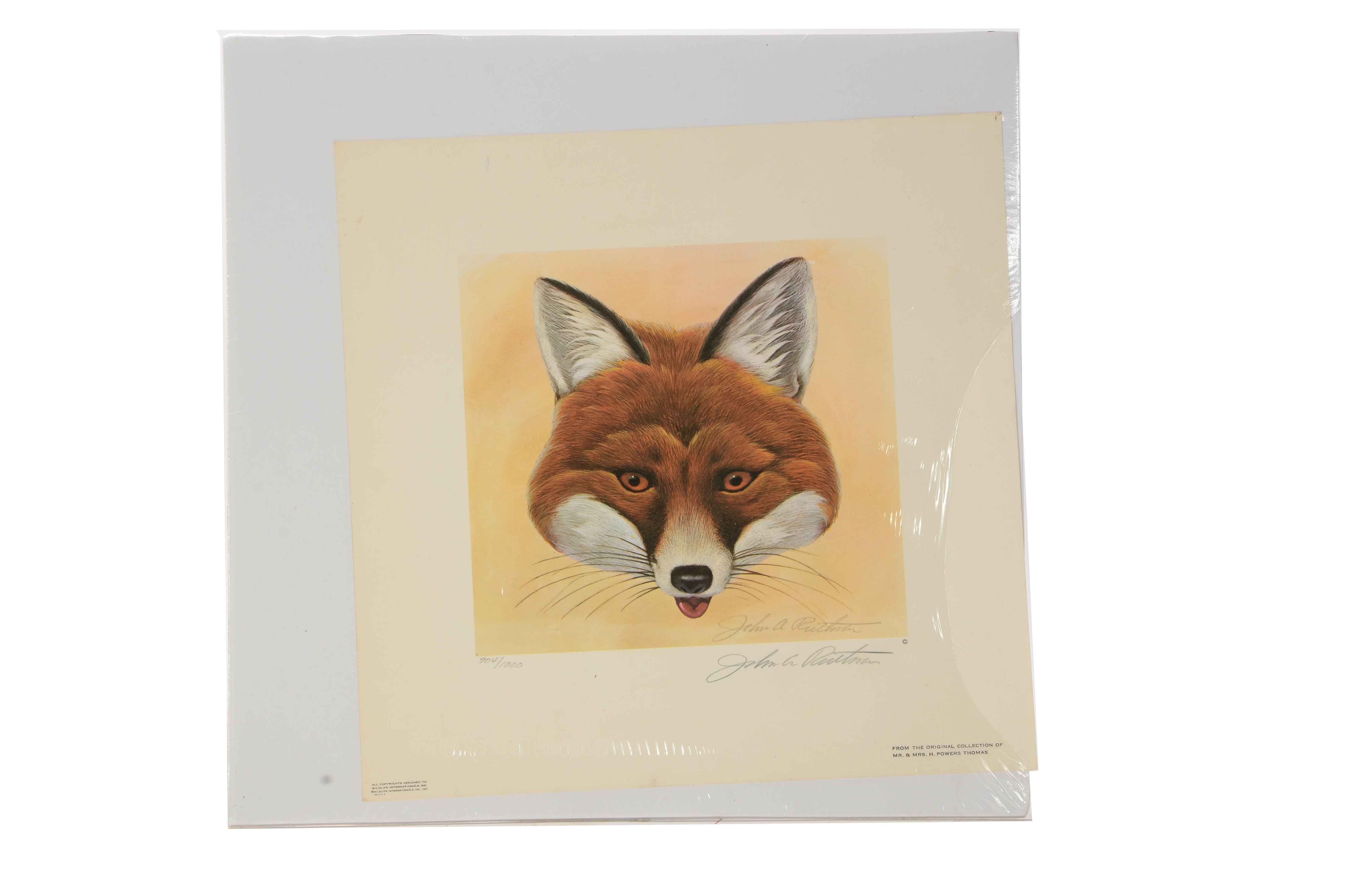 Two John Ruthven Signed Limited Edition Offset Lithograph Prints of Foxes