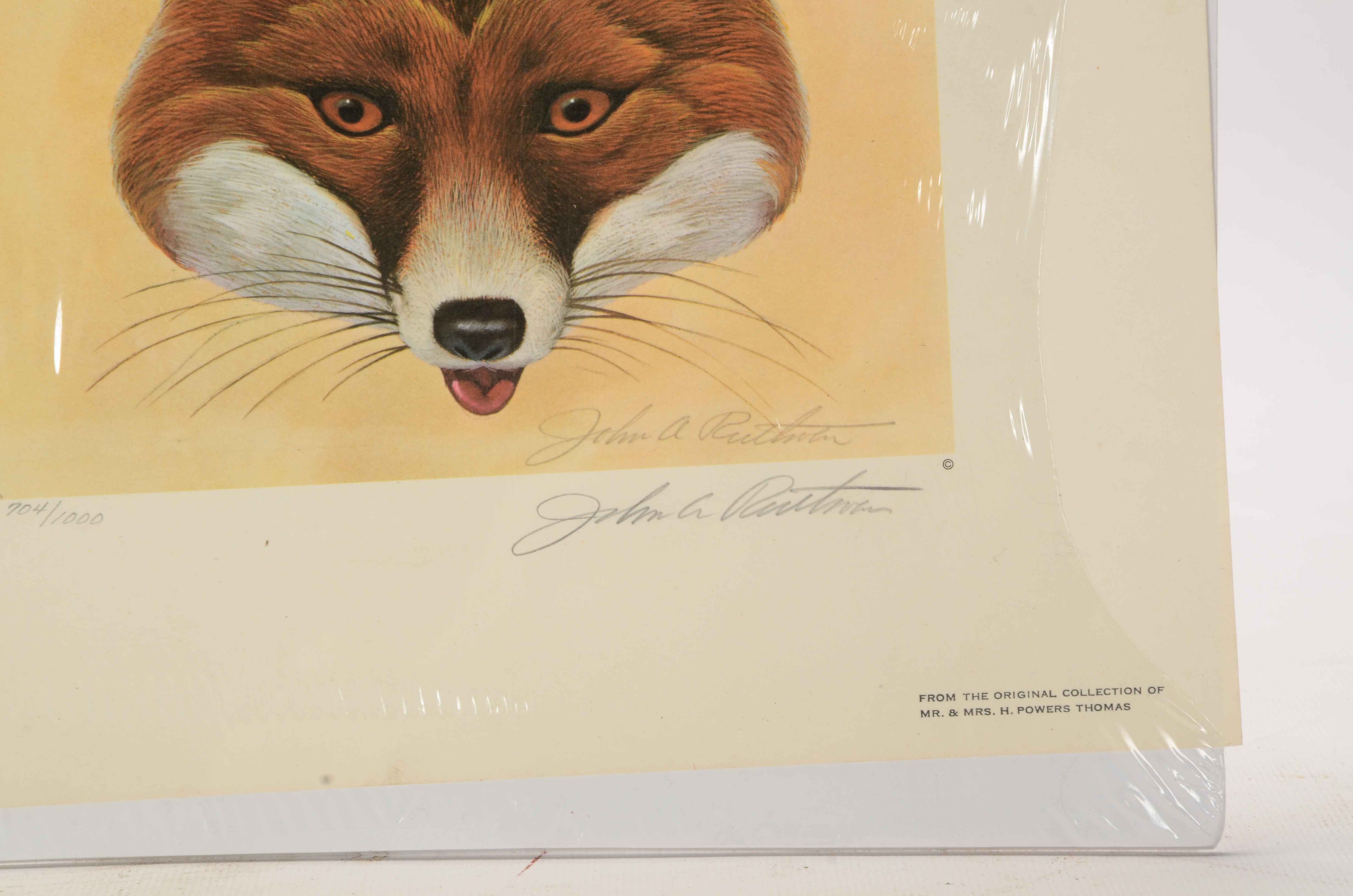 Two John Ruthven Signed Limited Edition Offset Lithograph Prints of Foxes
