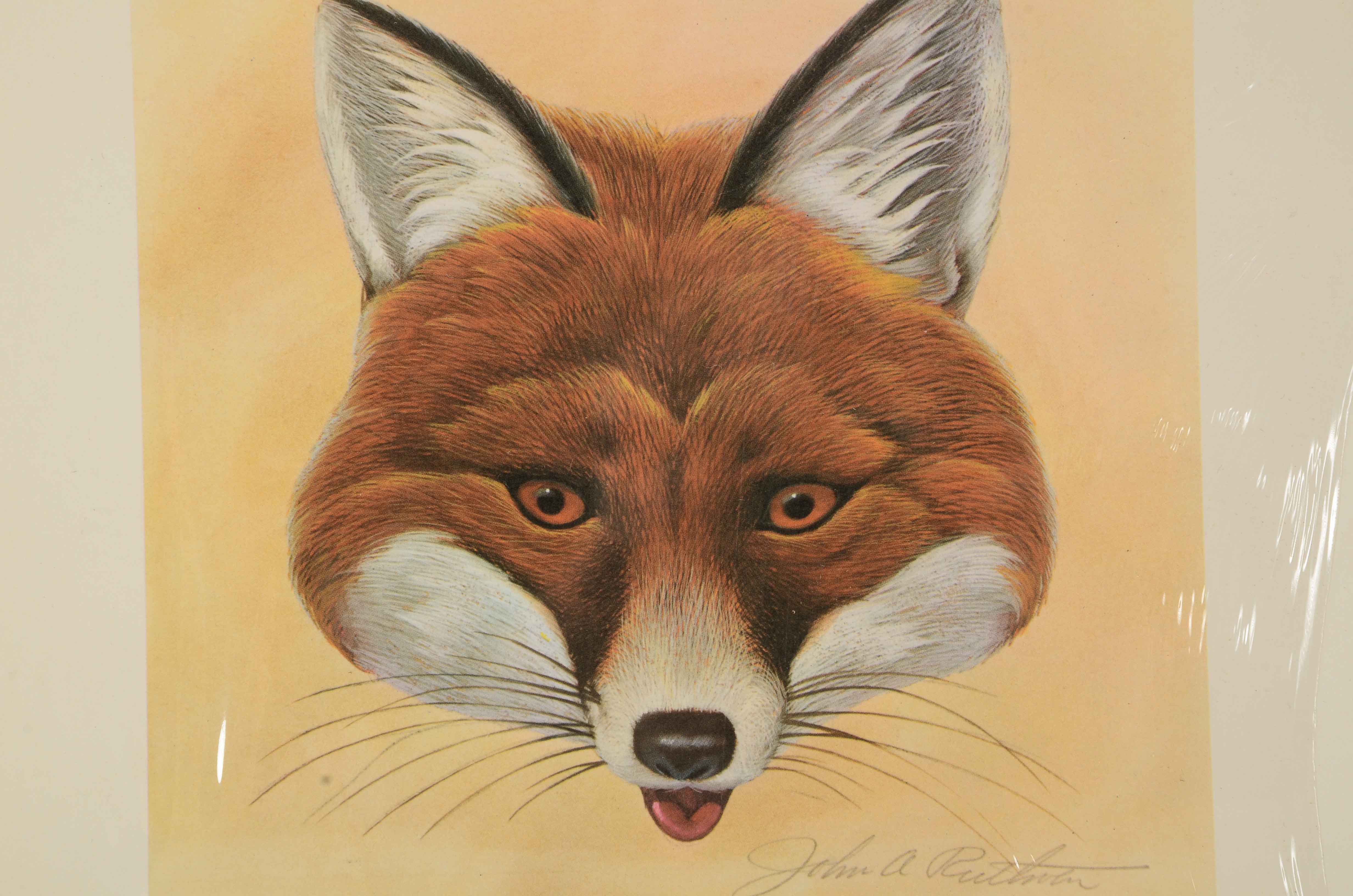 Two John Ruthven Signed Limited Edition Offset Lithograph Prints of Foxes