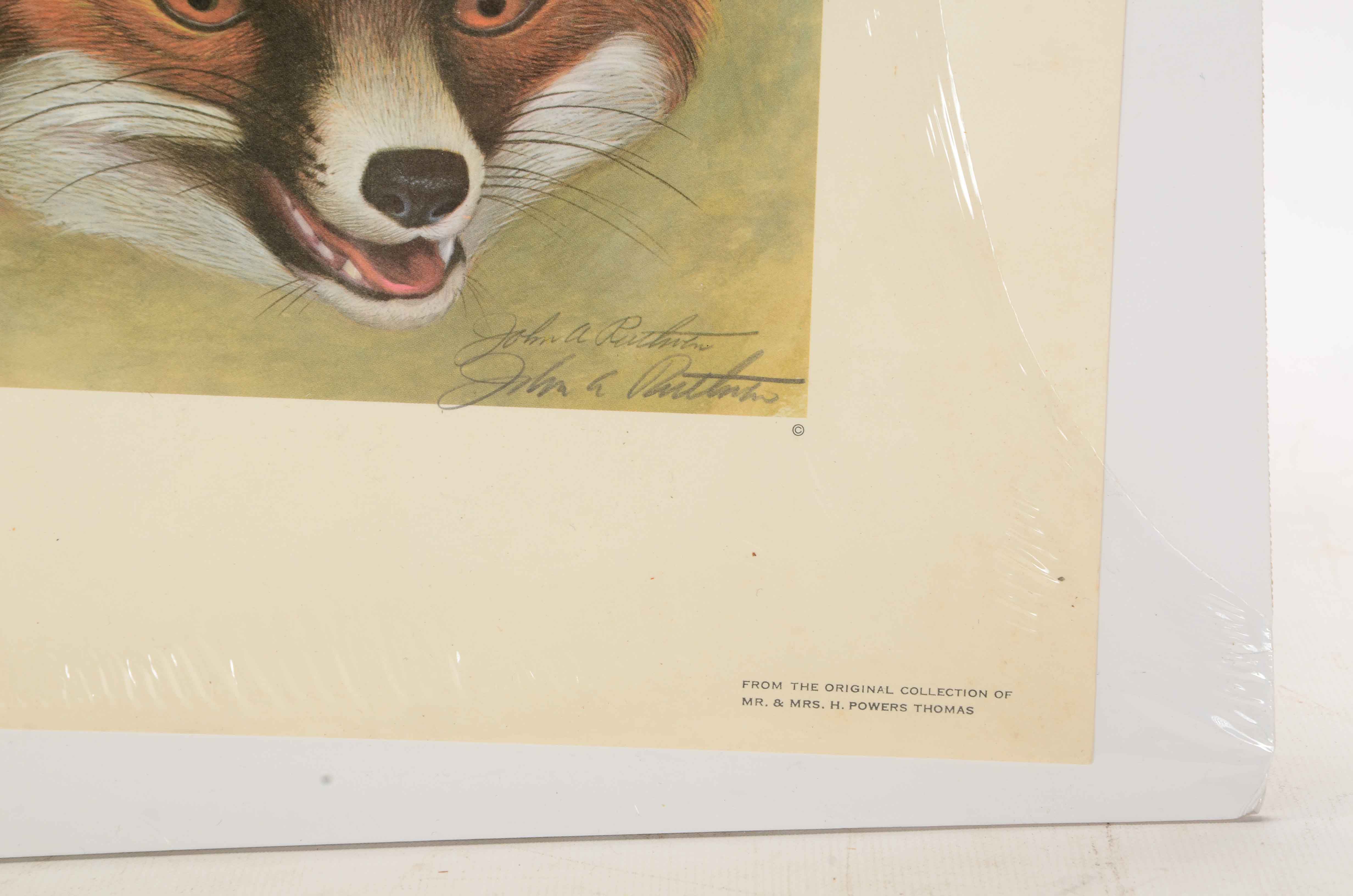 Two John Ruthven Signed Limited Edition Offset Lithograph Prints of Foxes