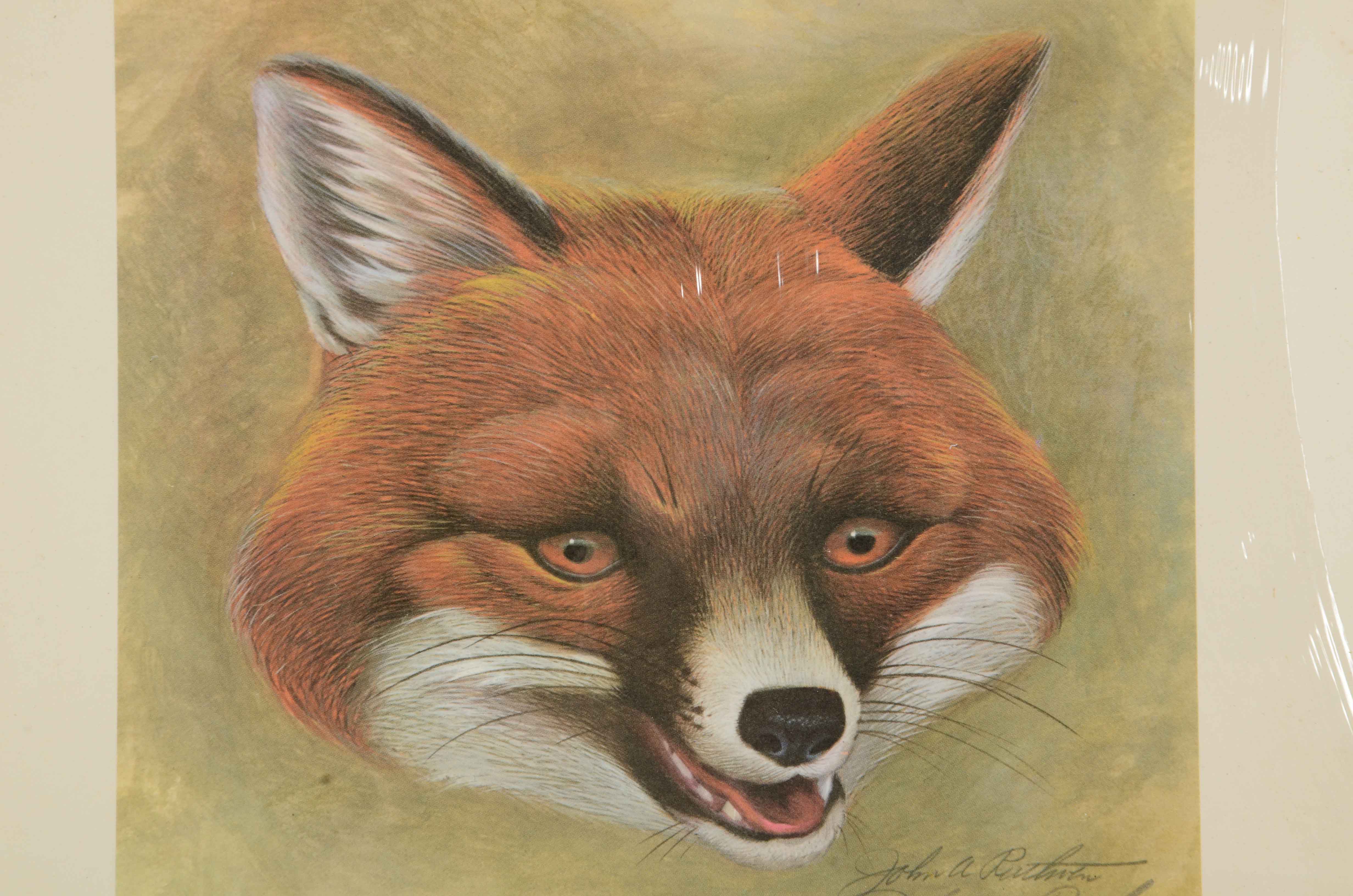 Two John Ruthven Signed Limited Edition Offset Lithograph Prints of Foxes