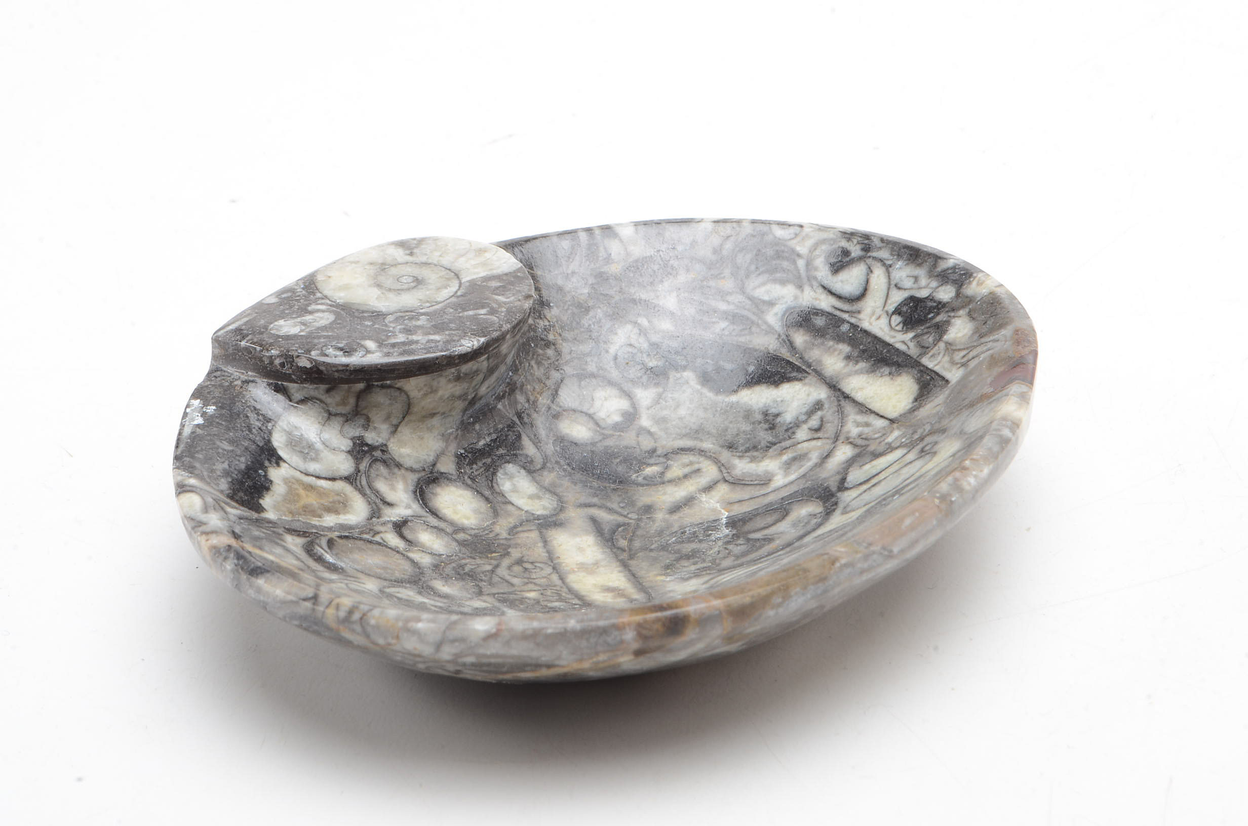 Ammonite Fossil Carved Dish