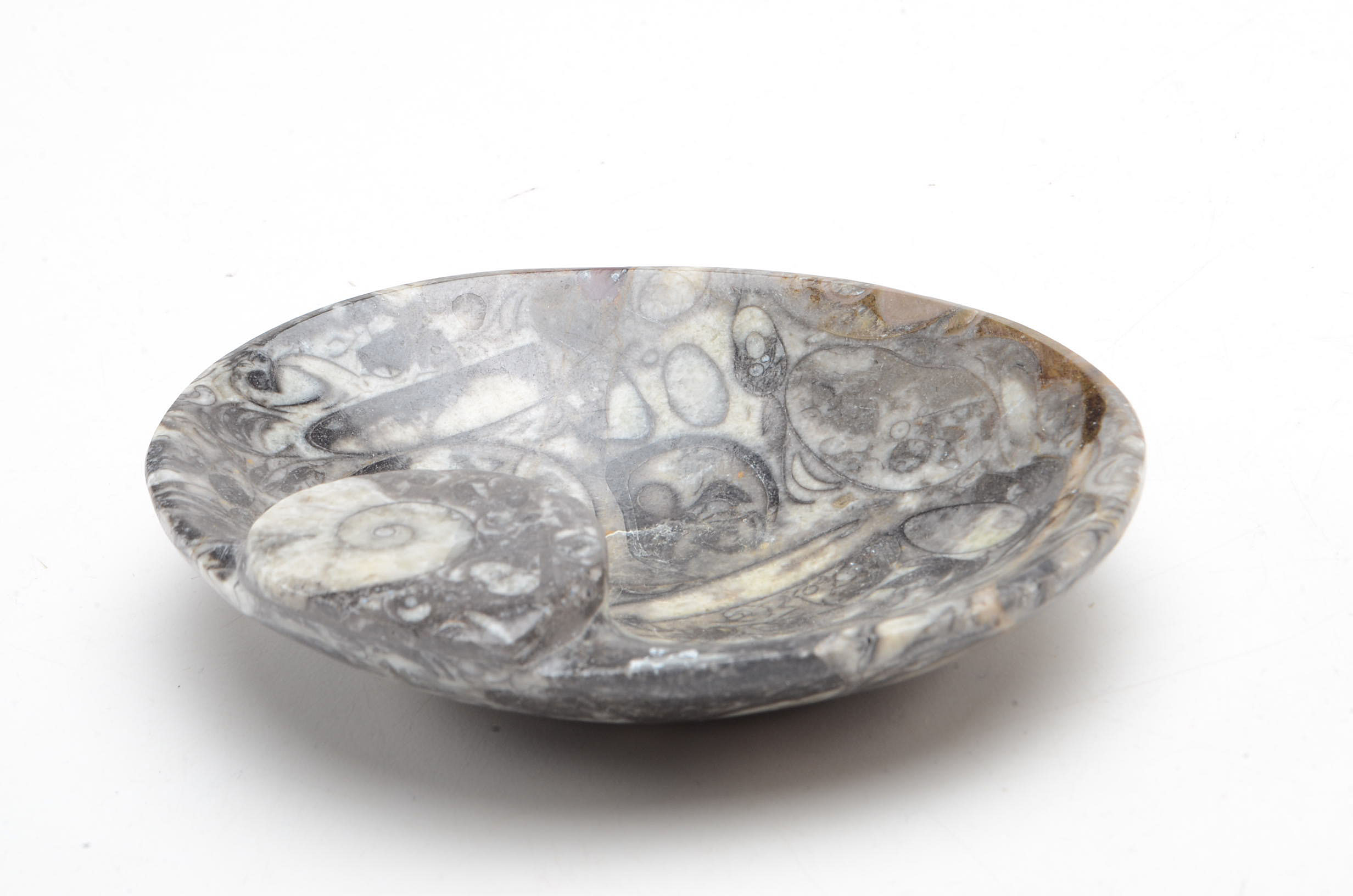 Ammonite Fossil Carved Dish