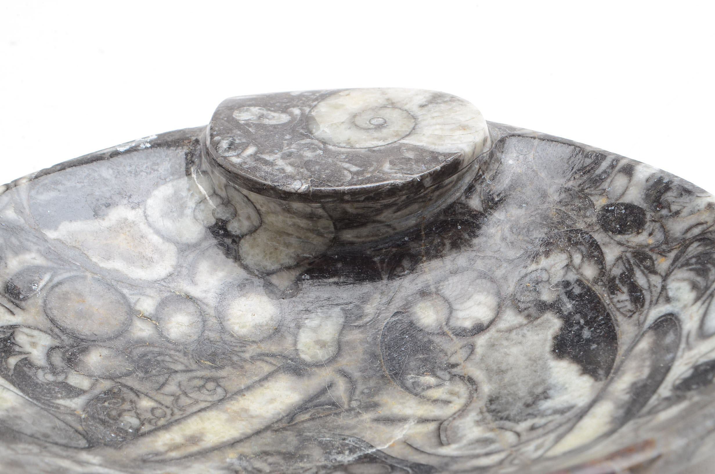 Ammonite Fossil Carved Dish