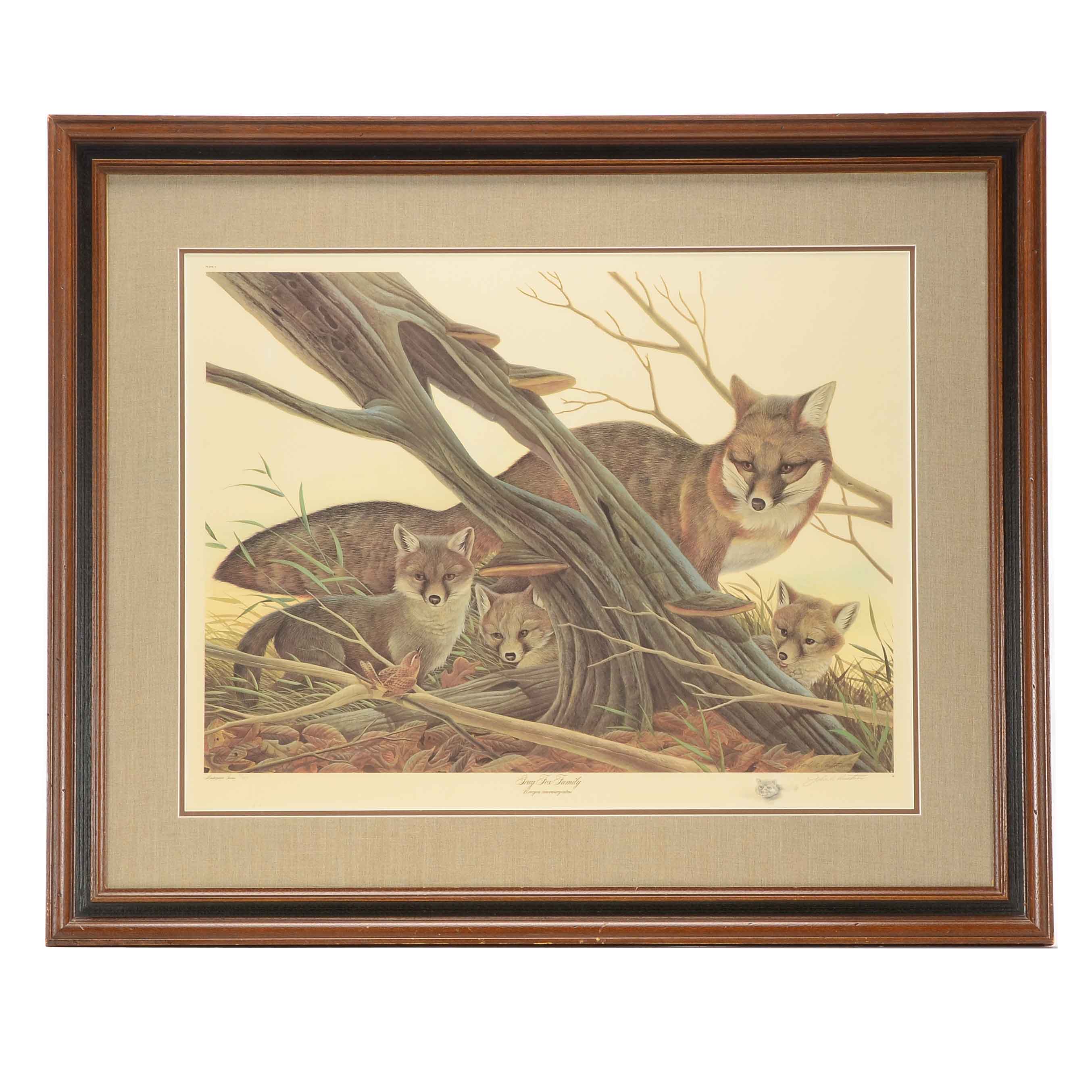John Ruthven Signed Limited Edition Offset Lithograph "Gray Fox Family"