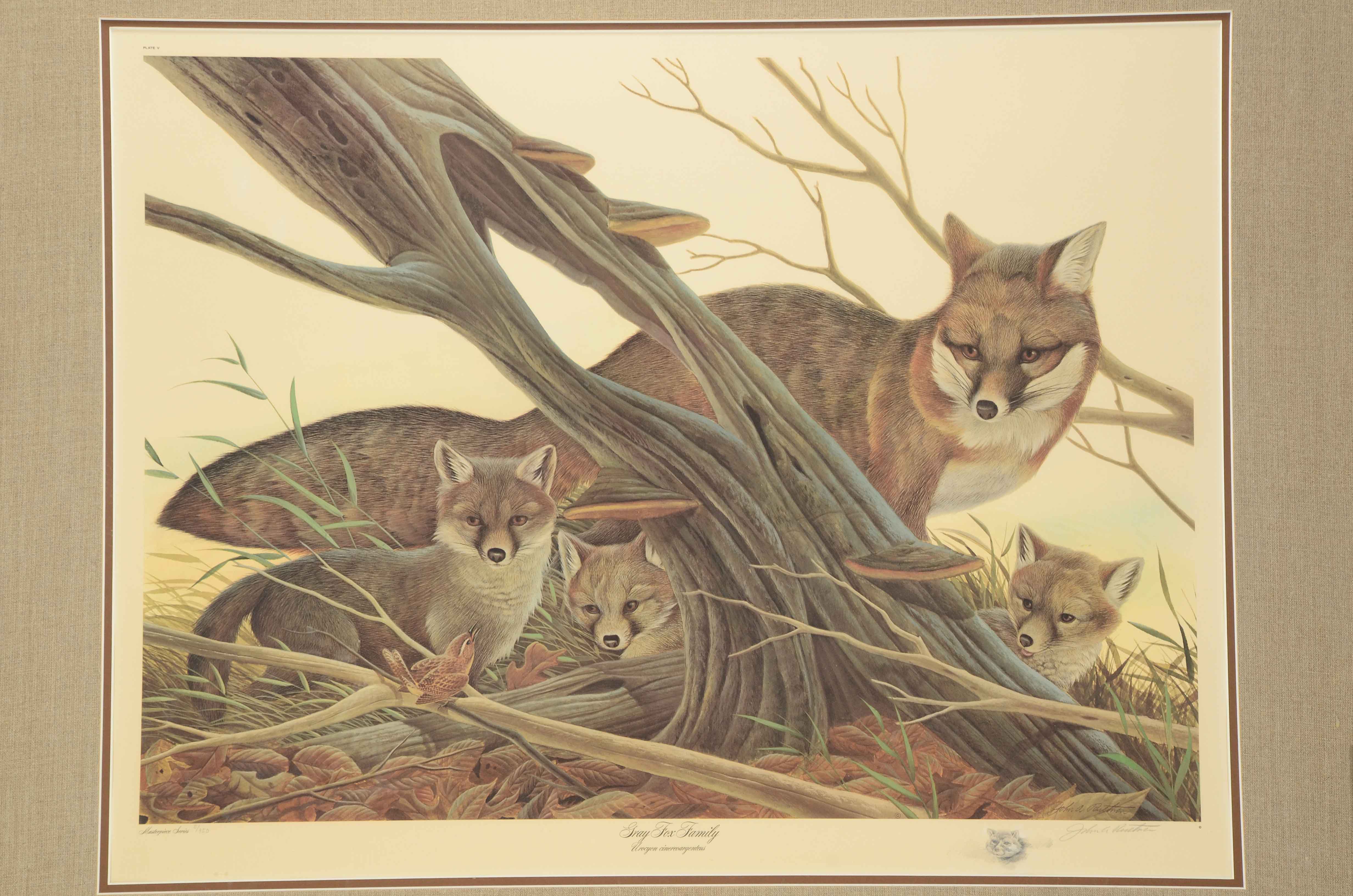 John Ruthven Signed Limited Edition Offset Lithograph "Gray Fox Family"