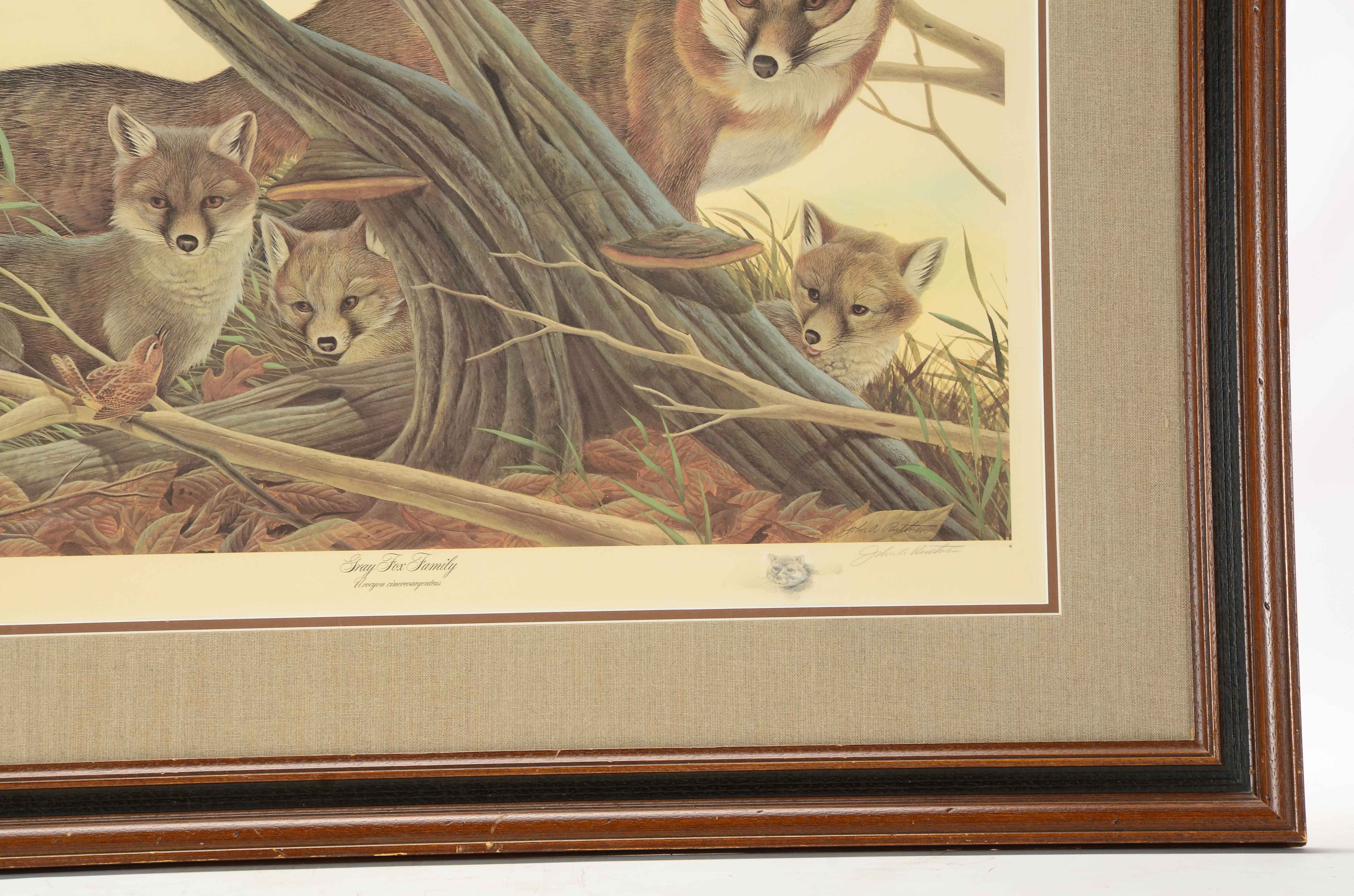John Ruthven Signed Limited Edition Offset Lithograph "Gray Fox Family"