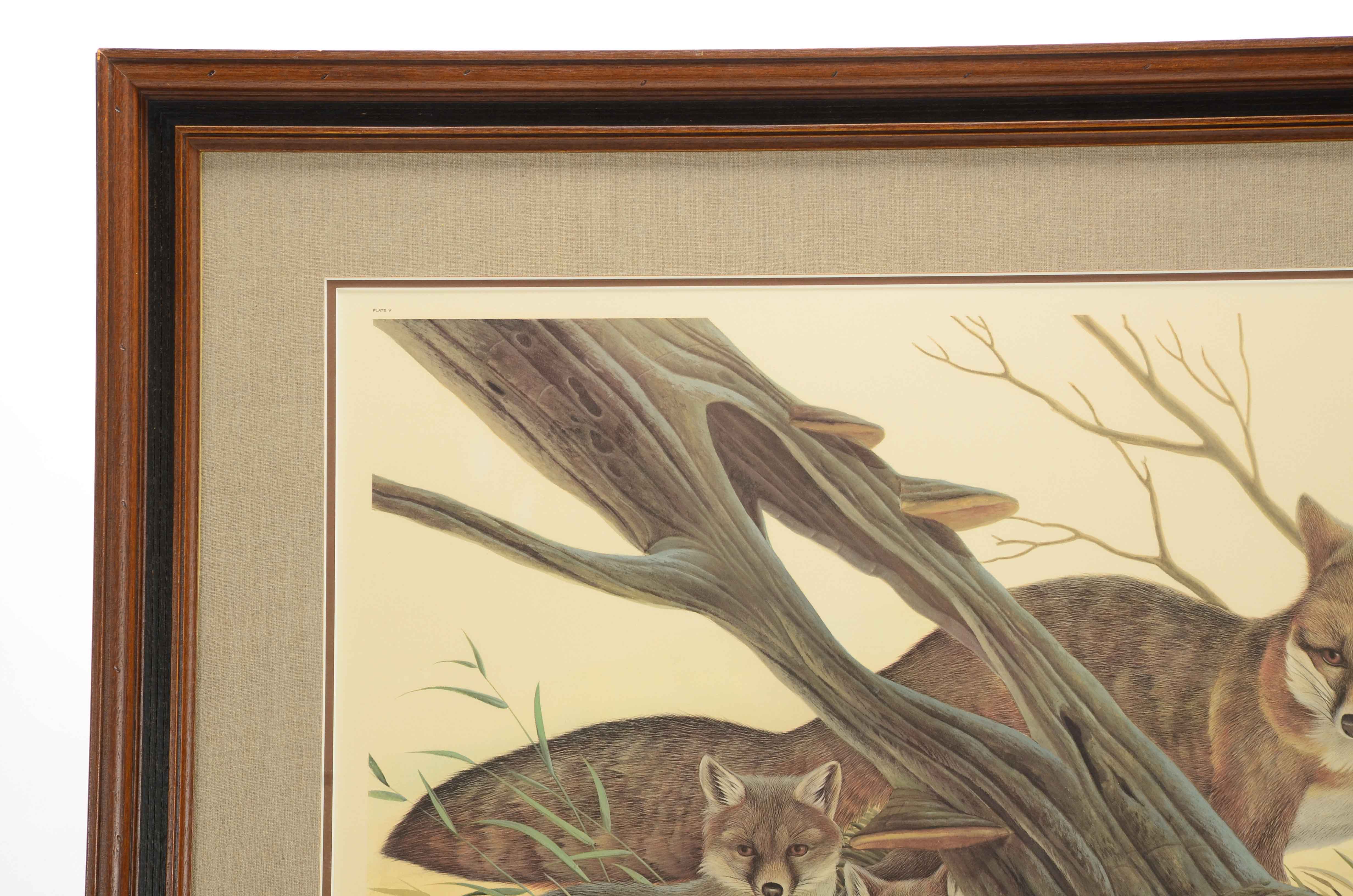 John Ruthven Signed Limited Edition Offset Lithograph "Gray Fox Family"