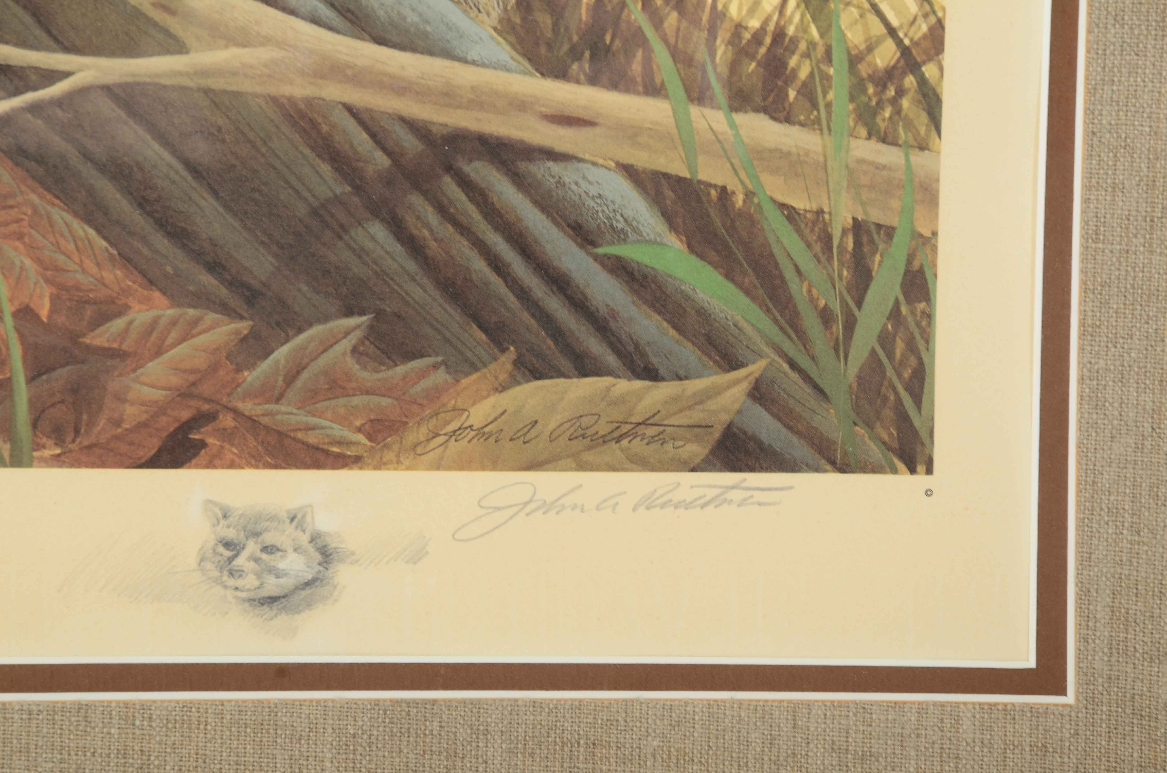 John Ruthven Signed Limited Edition Offset Lithograph "Gray Fox Family"