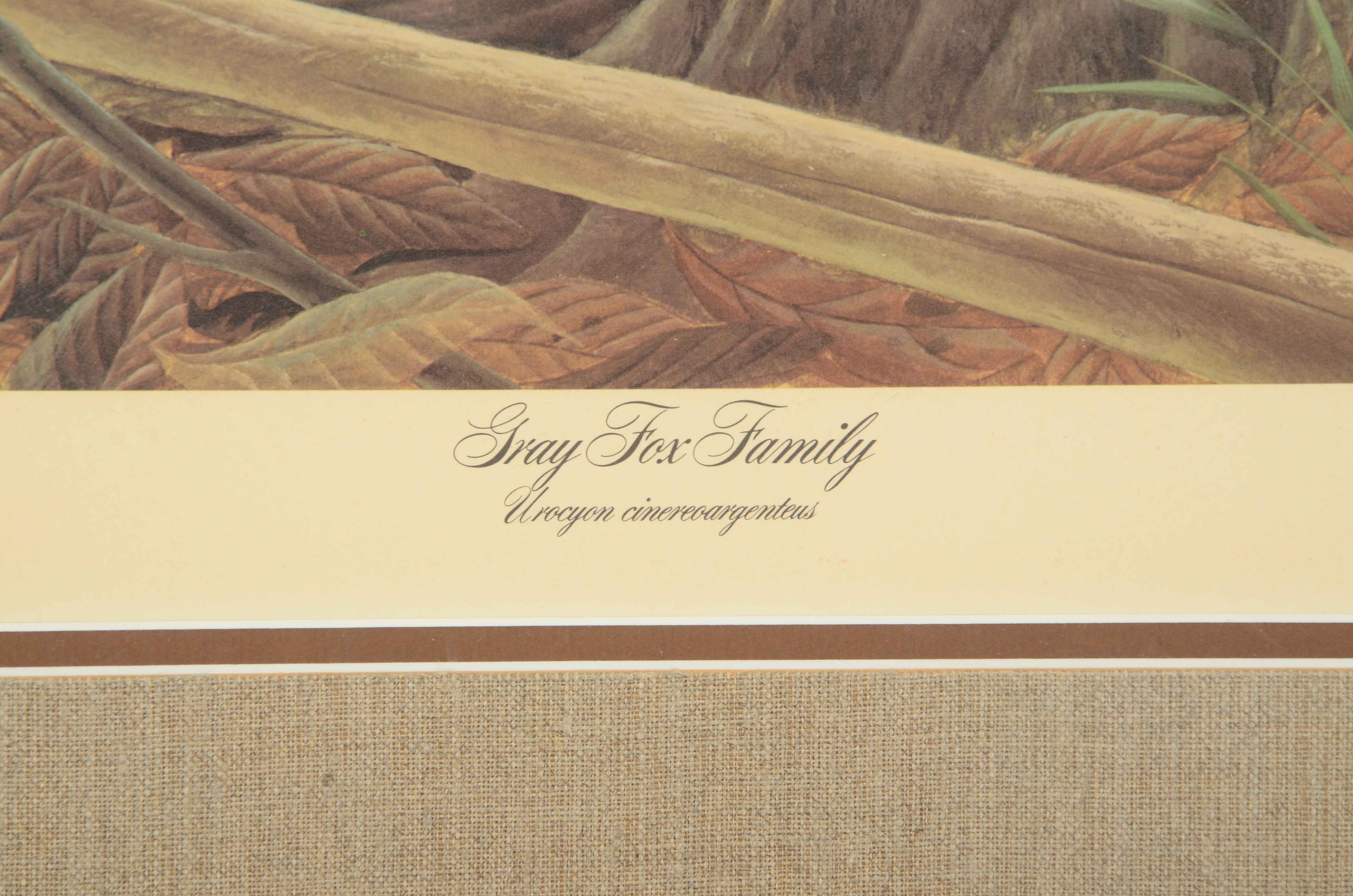 John Ruthven Signed Limited Edition Offset Lithograph "Gray Fox Family"