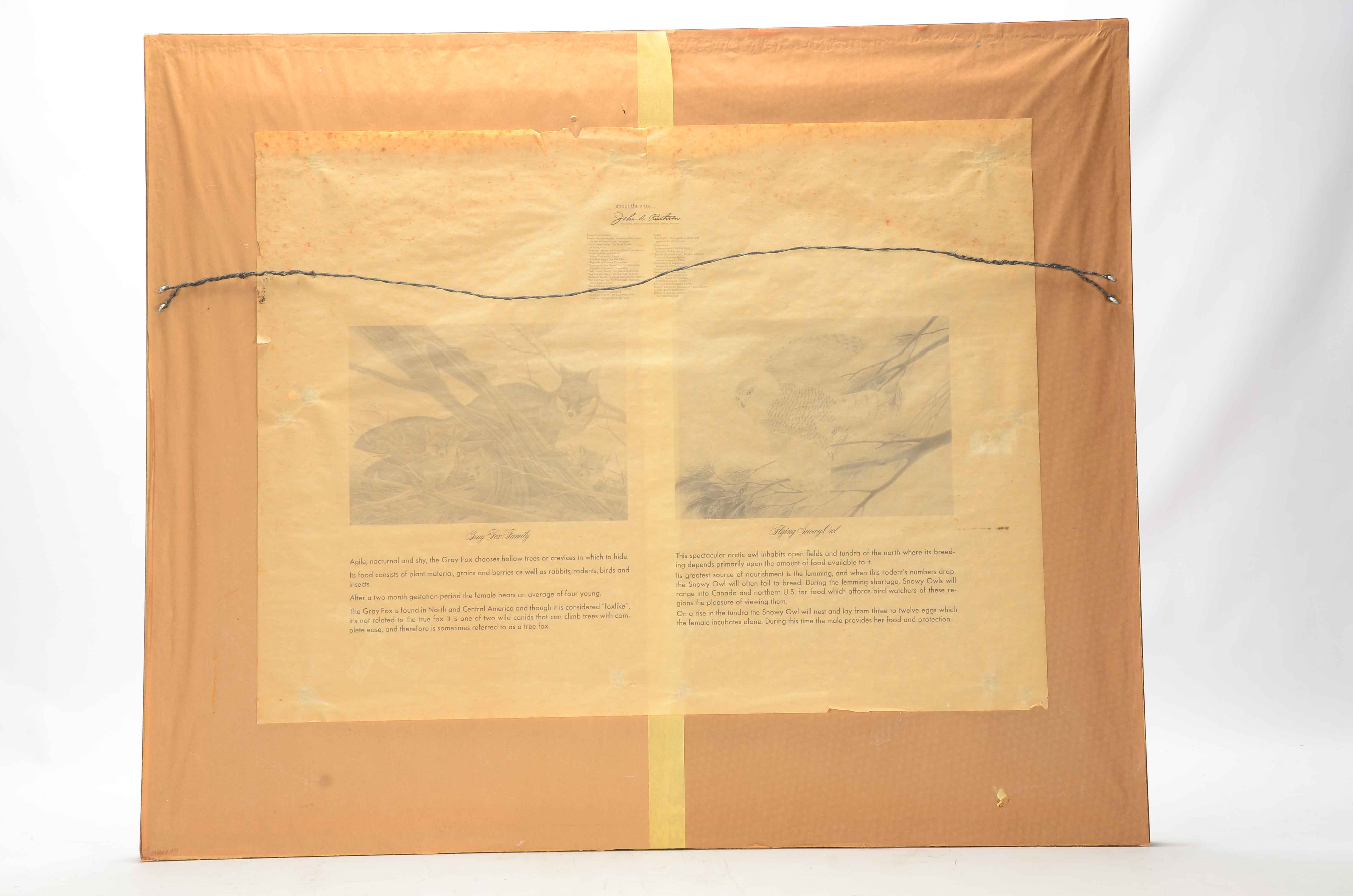 John Ruthven Signed Limited Edition Offset Lithograph "Gray Fox Family"